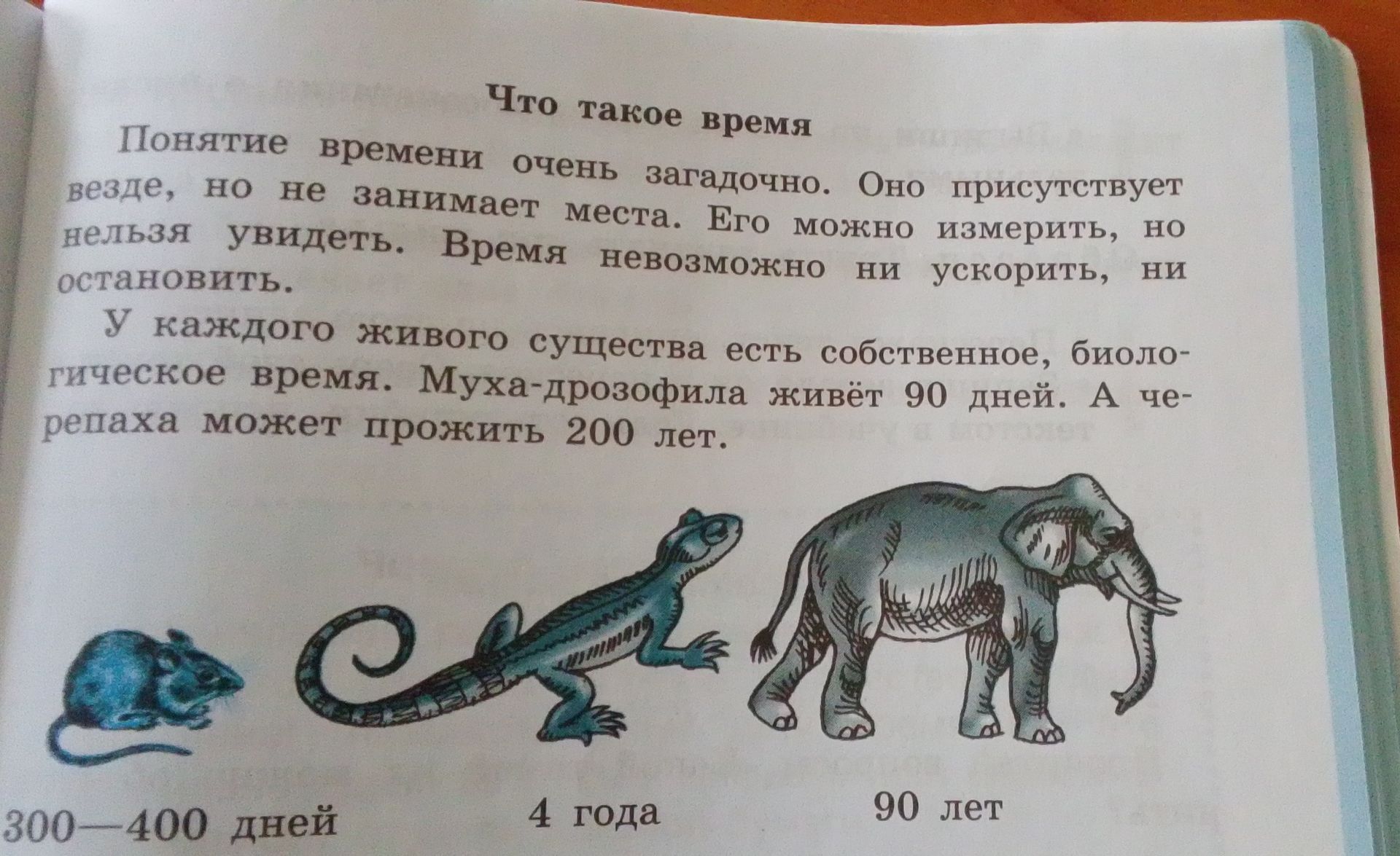 Фото задания: 4 года