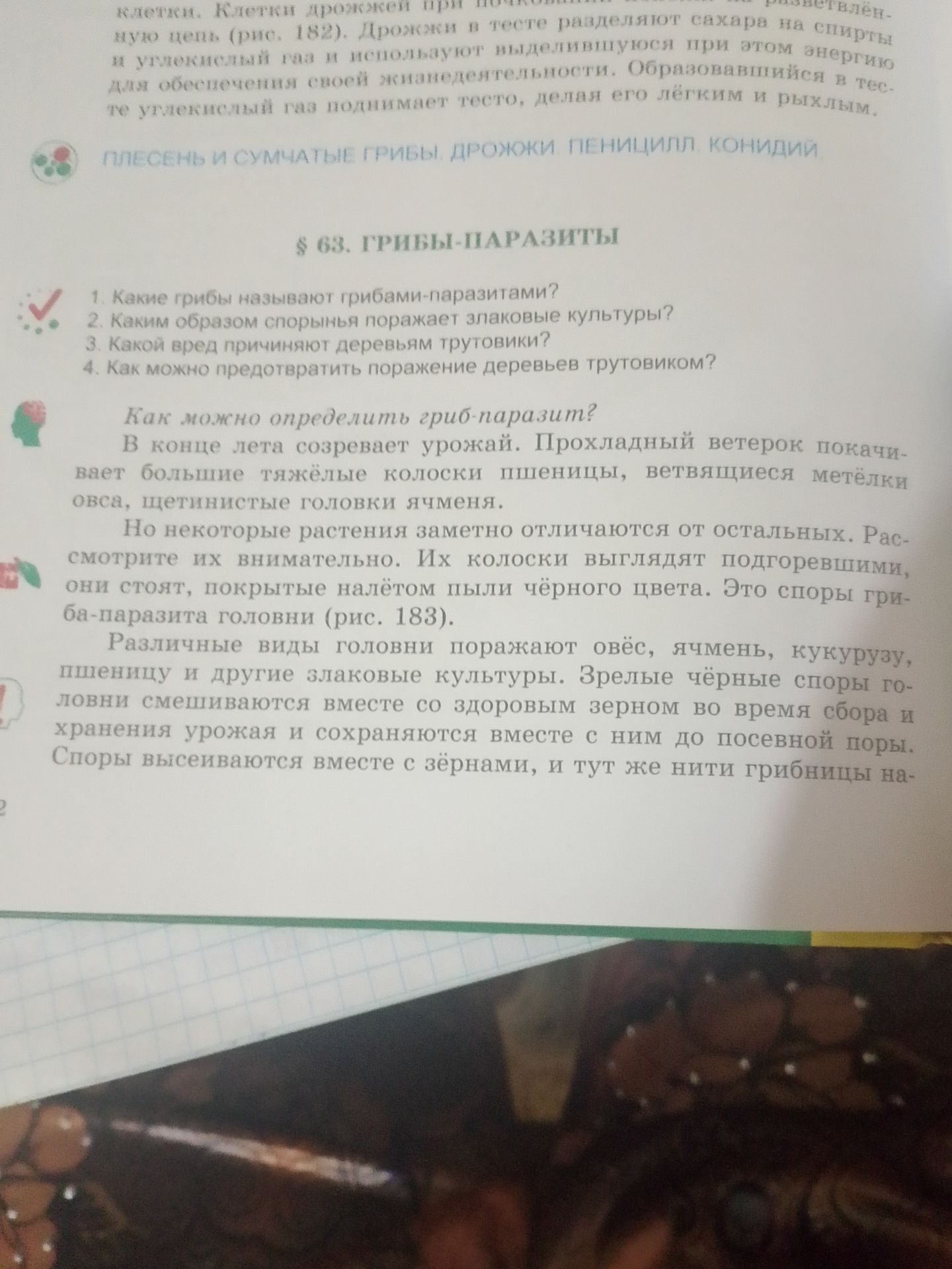 Фото задания: Как можно определить гриб-паразит?