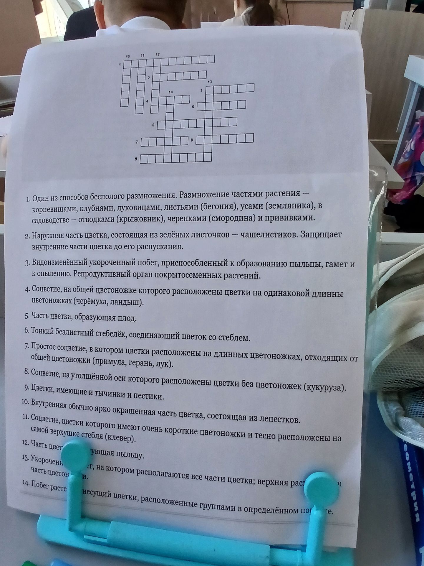 Фото задания: 5. Часть цветка, образующая плод.