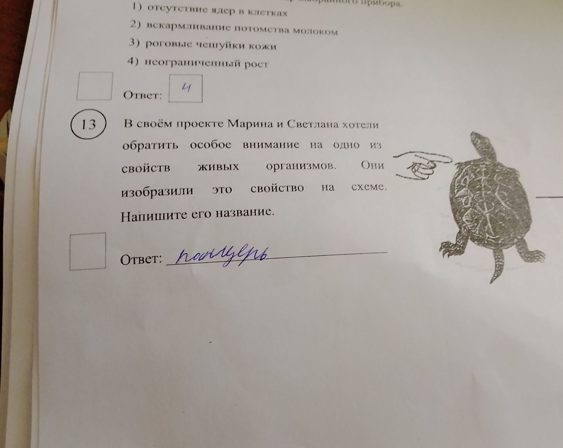 Фото задания: 13 В своём проекте Марина и Светлана хотели обратить особое внимание на одно из свойств живых организмов. Они изобразили…
