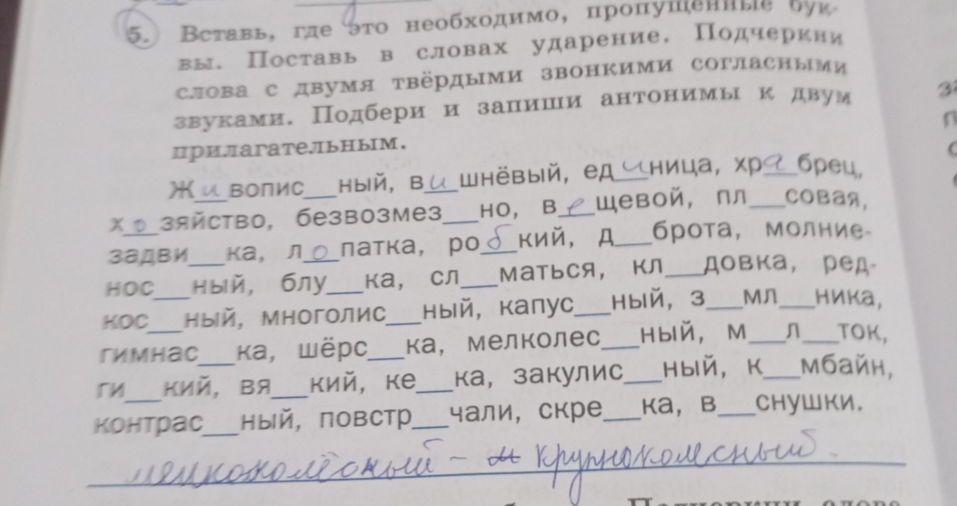 Фото задания: 5. Вставь, где это необходимо, пропущенные буквы. Поставь в словах ударение. Подчеркни слова с двумя твёрдыми звонкими…