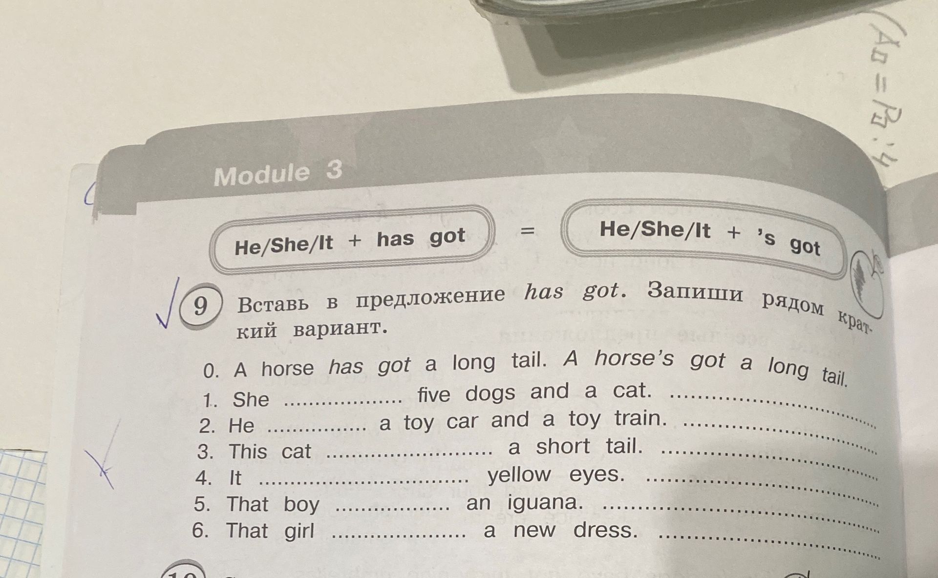 Фото задания: Module 3, Exercise 9. Insert into the sentence has got. Write the short version. 0. A horse has got a long tail. A horse's…