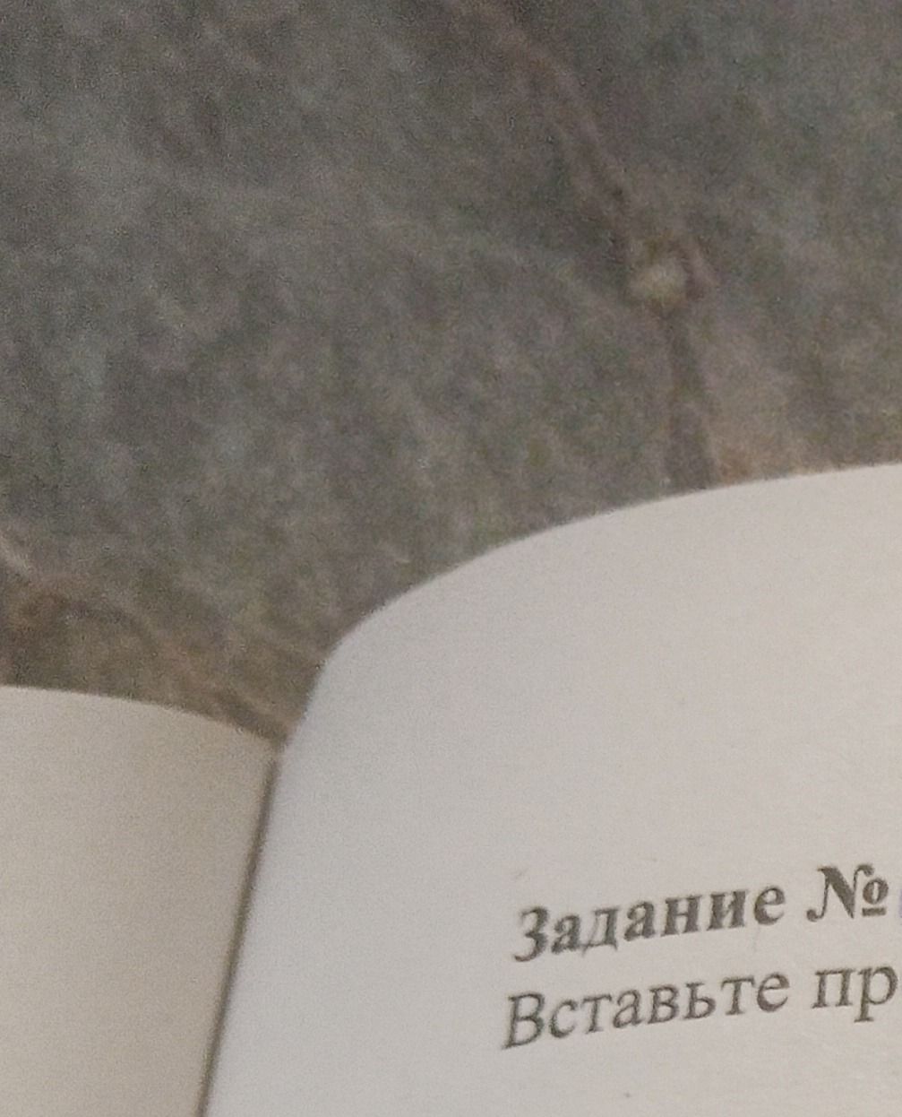 Фото задания: Задание № Вставьте пр