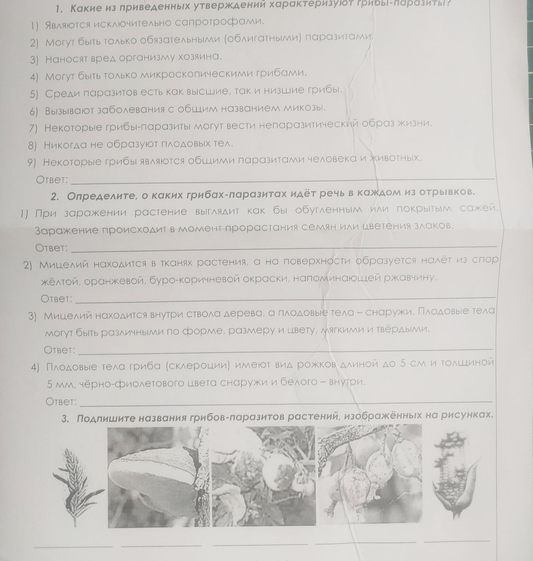 Фото задания: 3. Подпишите названия грибов-паразитов растений, изображённых на рисунках.