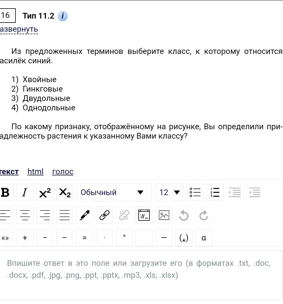 Фото задания: Из предложенных терминов выберите класс, к которому относится василёк синий. 1) Хвойные 2) Гинкговые 3) Двудольные 4)…