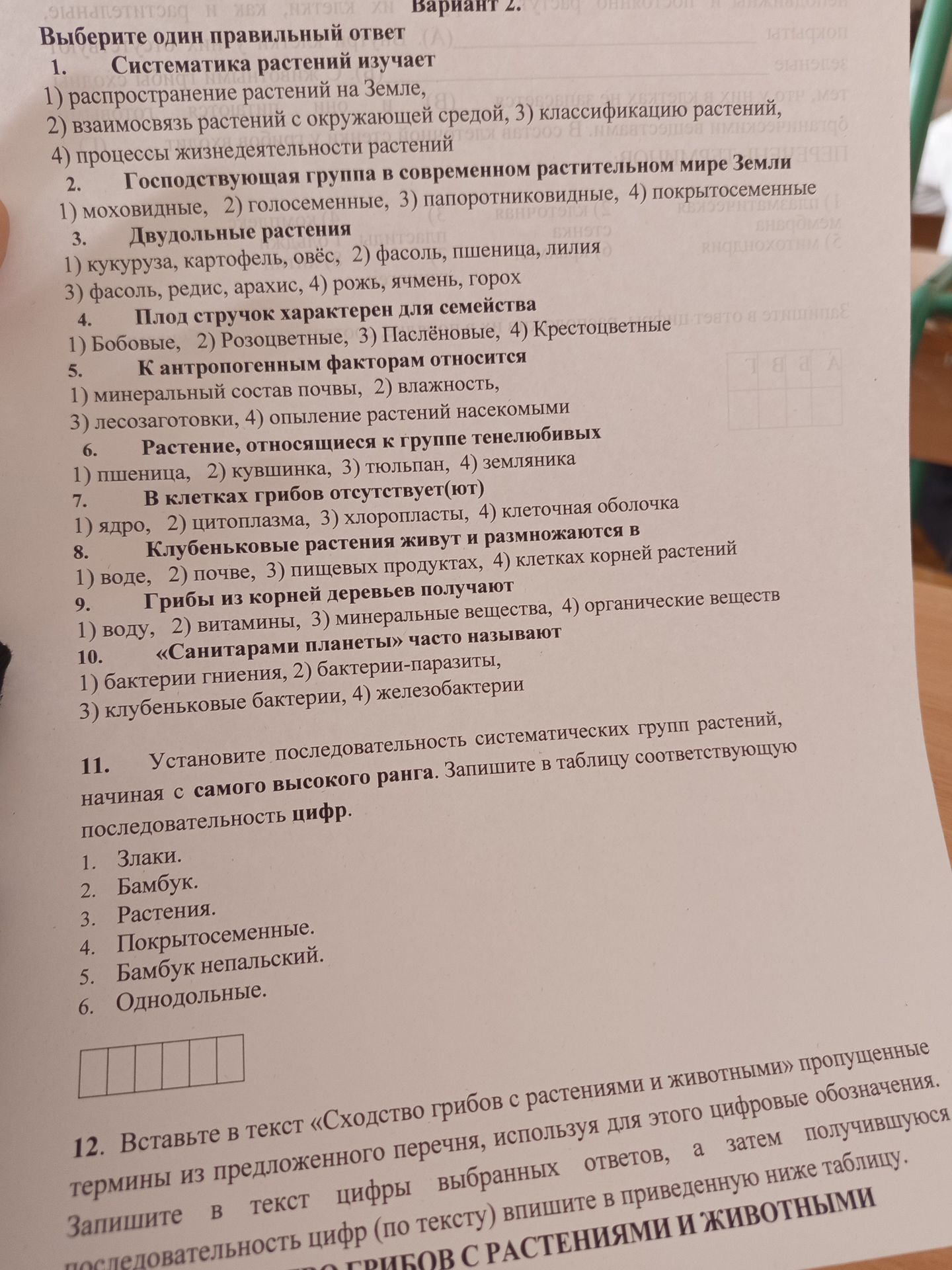 Фото задания: 3. Двудольные растения