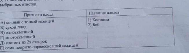Фото задания: Установите соответствие между признаками плода и названием плодов.