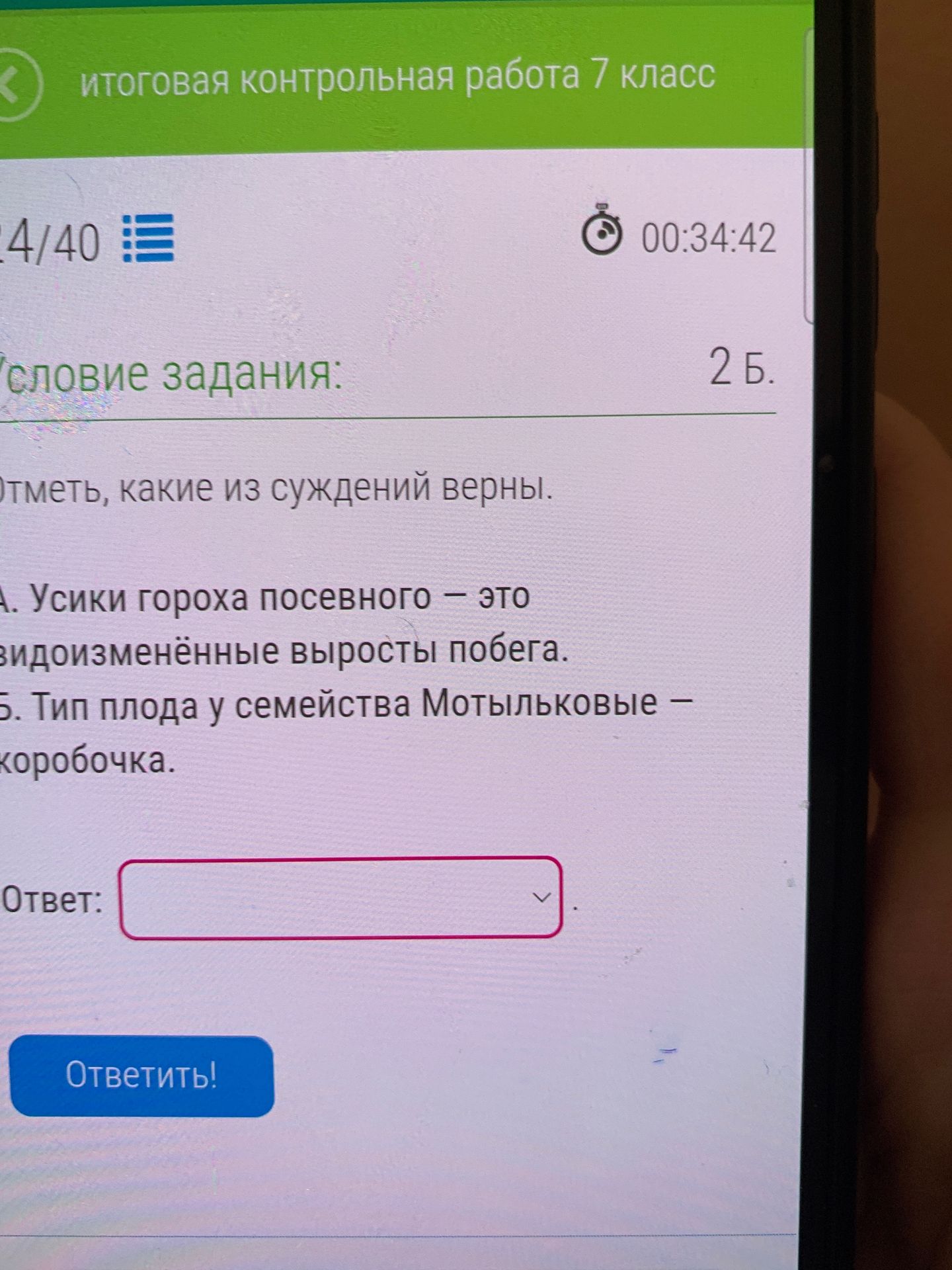 Фото задания: Отметь, какие из суждений верны. А. Усики гороха посевного — это видоизменённые выросты побега. Б. Тип плода у семейства…