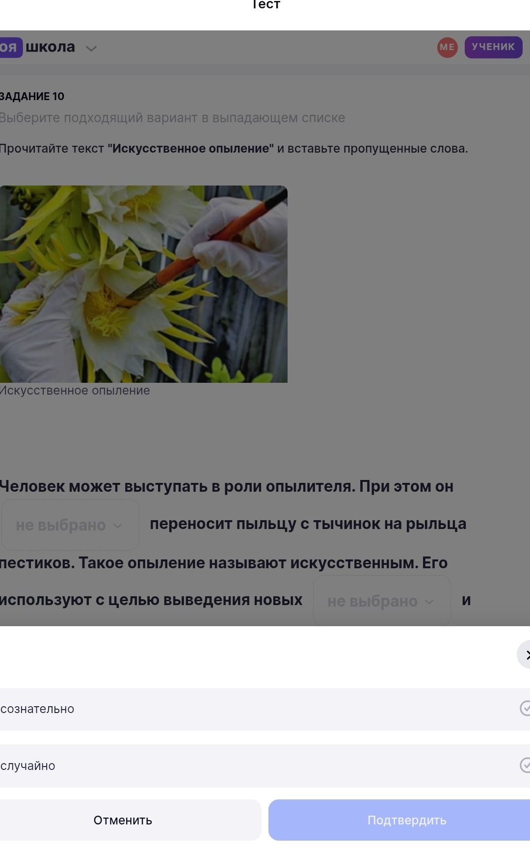 Фото задания: Выберите подходящий вариант в выпадающем списке. Прочитайте текст "Искусственное опыление" и вставьте пропущенные слова.