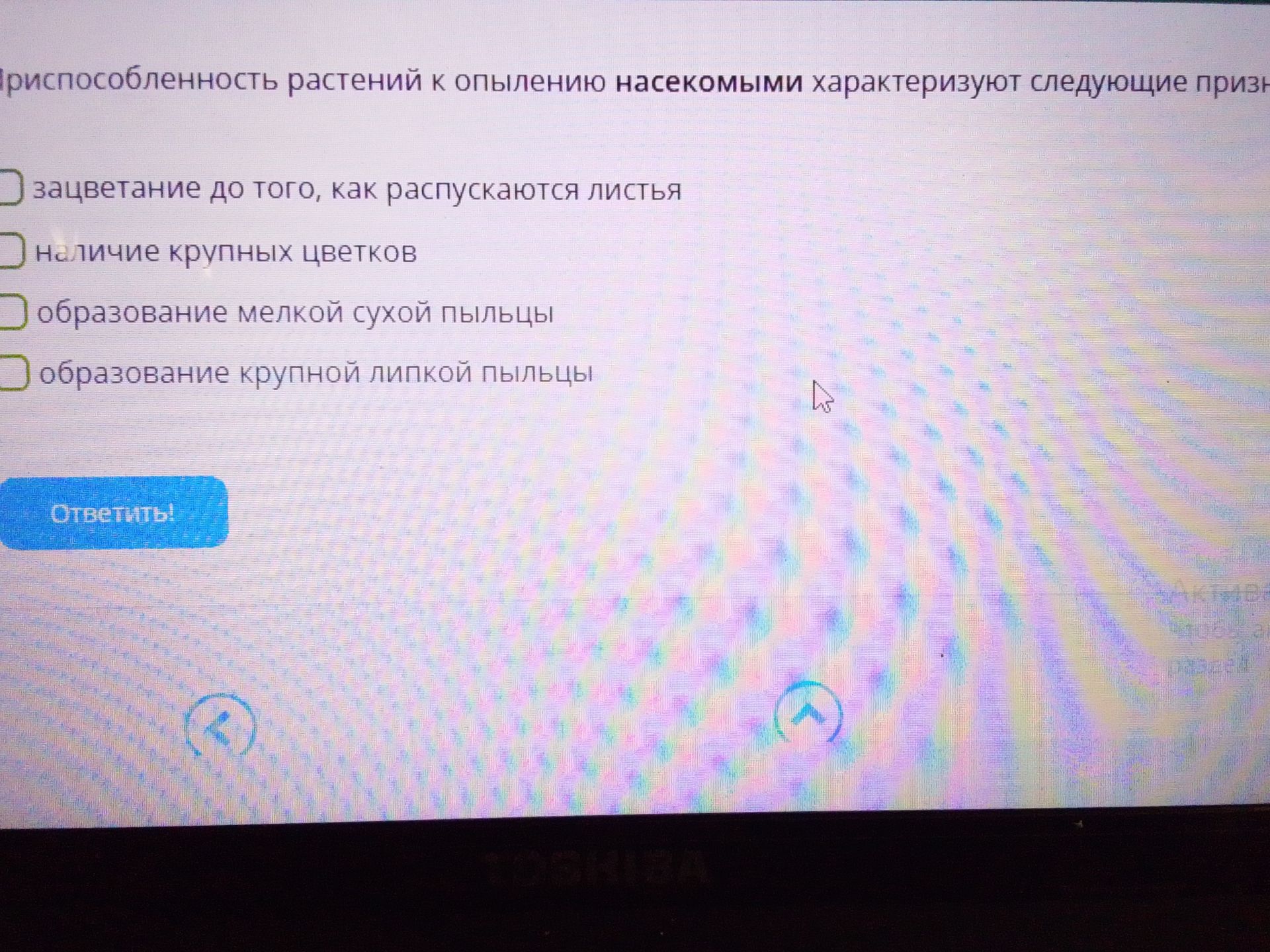 Фото задания: Приспособленность растений к опылению насекомыми характеризуют следующие признаки: - зацветание до того, как распускаются…