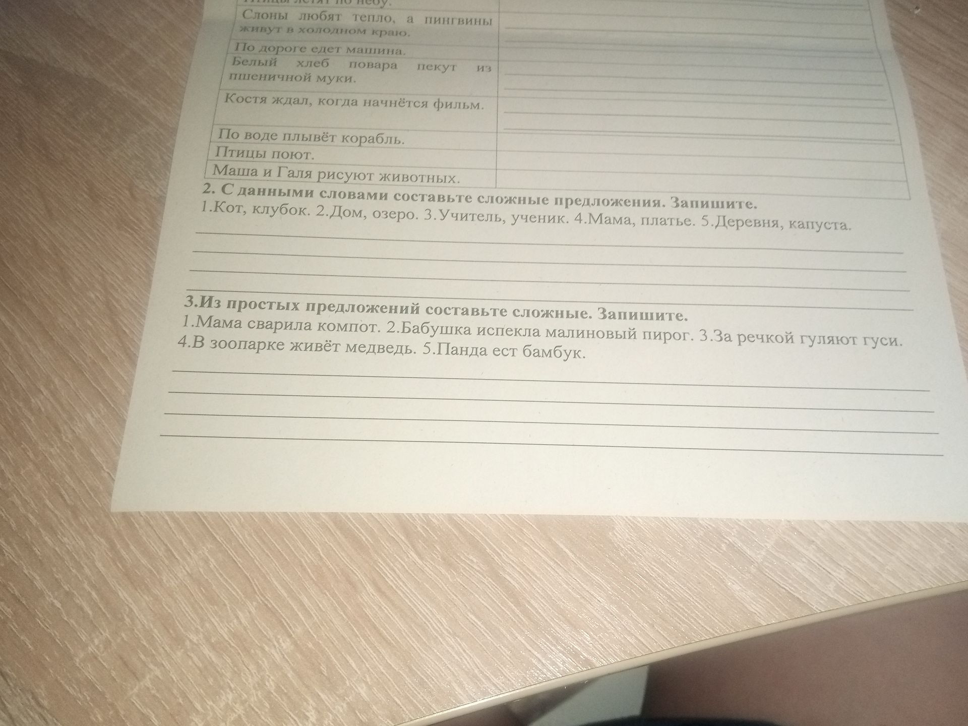 Фото задания: Птицы поют.