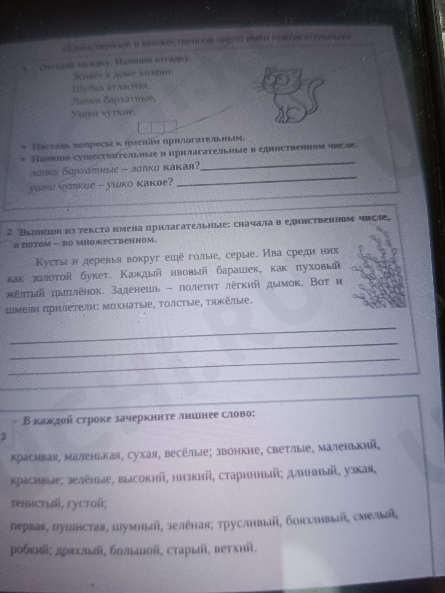 Фото задания: Упражнение 2: Выпиши из текста имена прилагательные: сначала в единственном числе, а потом — во множественном.