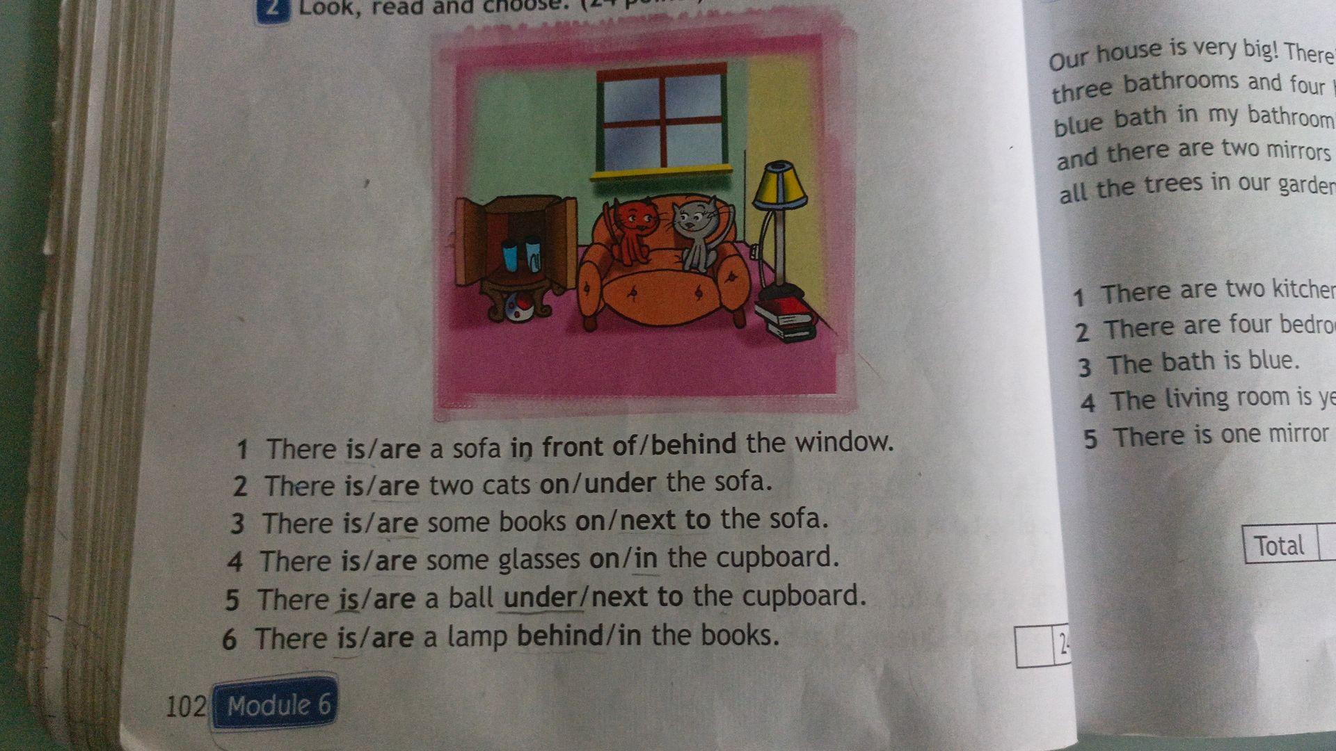 Фото задания: 1. There is/are a sofa in front of/behind the window. 2. There is/are two cats on/under the sofa. 3. There is/are some…
