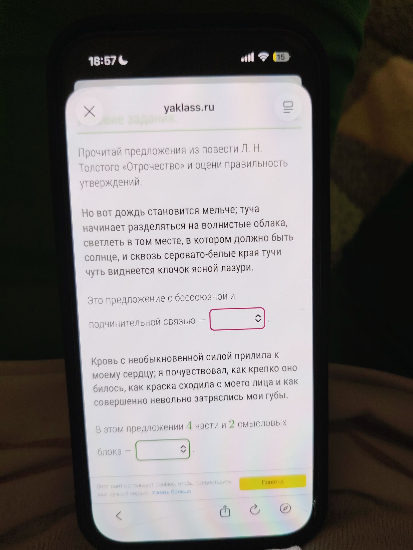 Фото задания: Прочитай предложения из повести Л. Н. Толстого «Отрочество» и оцени правильность утверждений.
