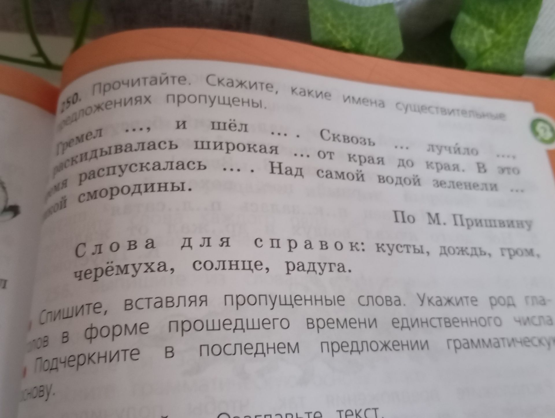 Фото задания: 250. Прочитайте. Скажите, какие имена существительные пропущены.