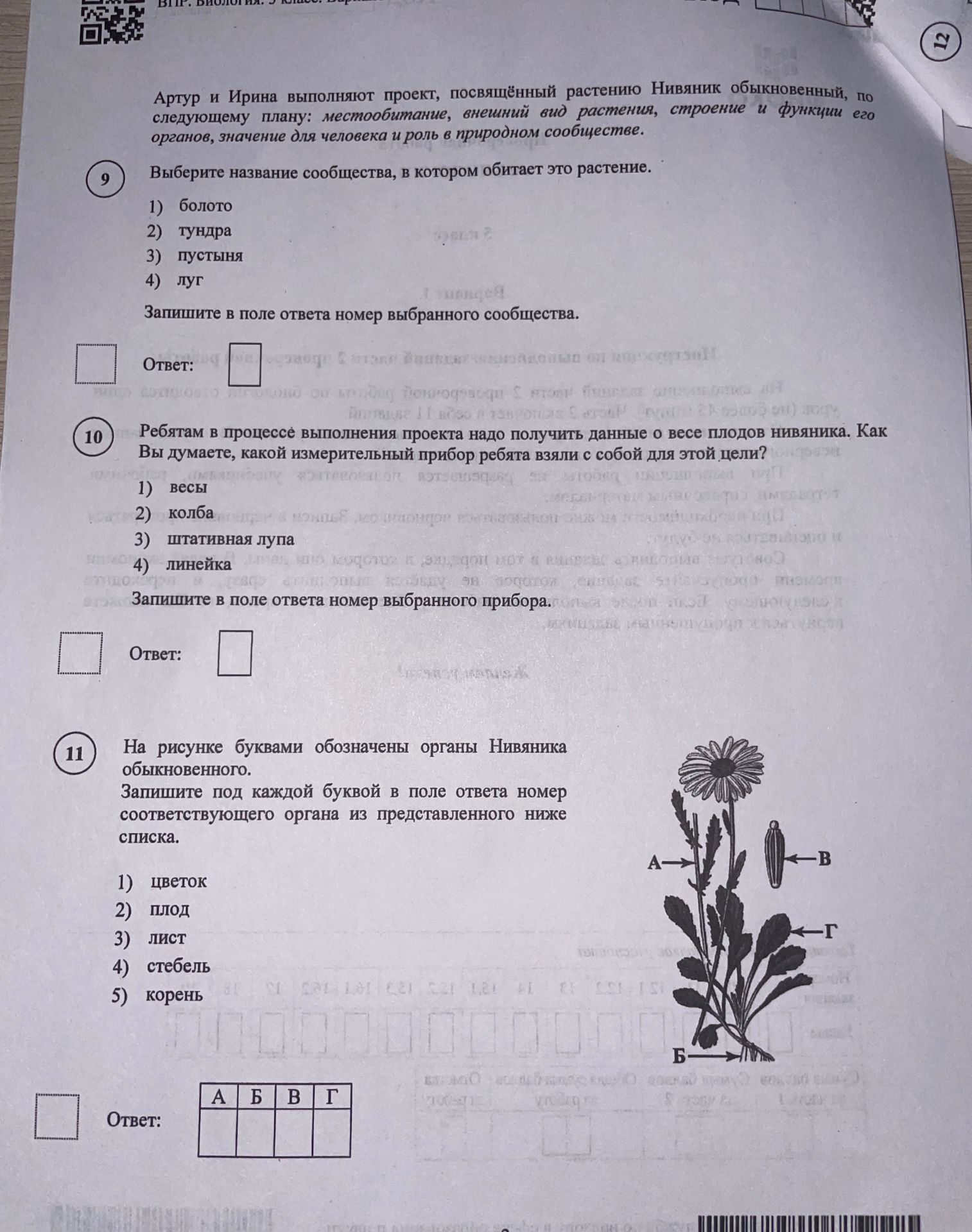 Фото задания: Ребятам в процессе выполнения проекта надо получить данные о весе плодов нивяника. Как Вы думаете, какой измерительный прибор…