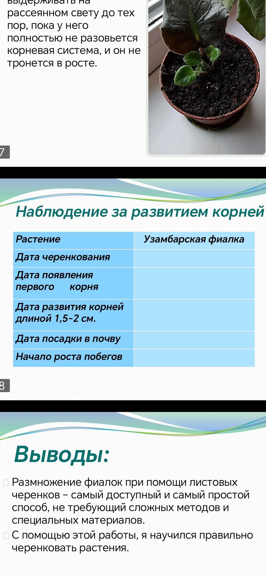 Фото задания: Наблюдение за развитием корней