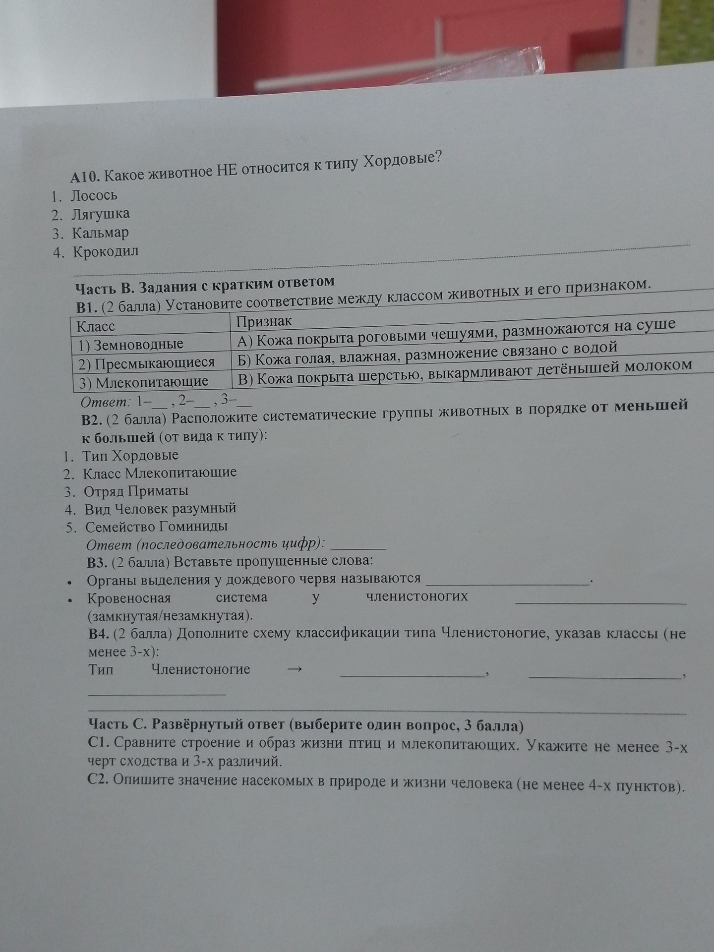 Фото задания