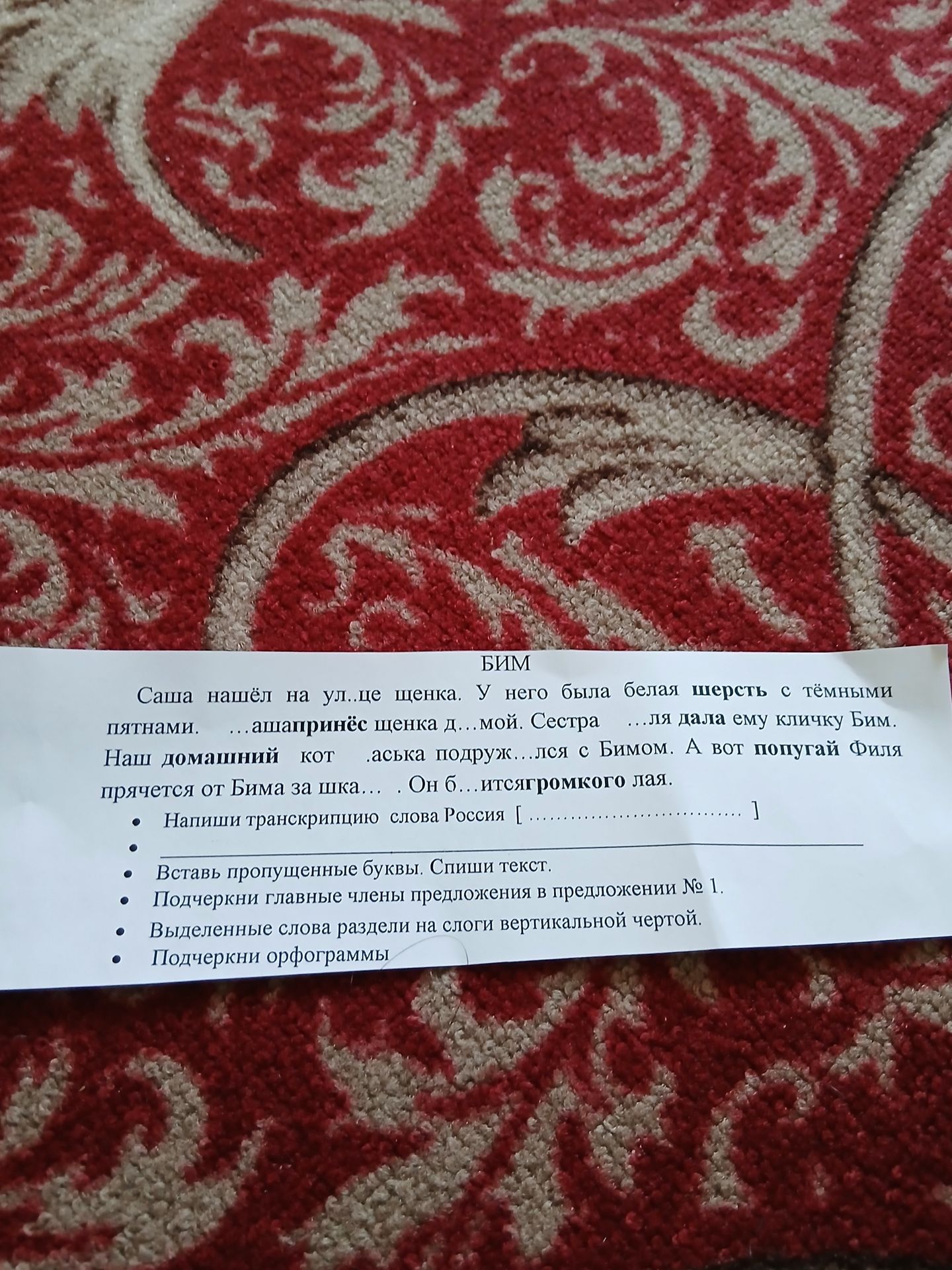 Фото задания: БИМ Саша нашёл на ул..це щенка. У него была белая шерсть с тёмными пятнами. ...ашапринёс щенка д...мой. Сестра ...ля дала ему…