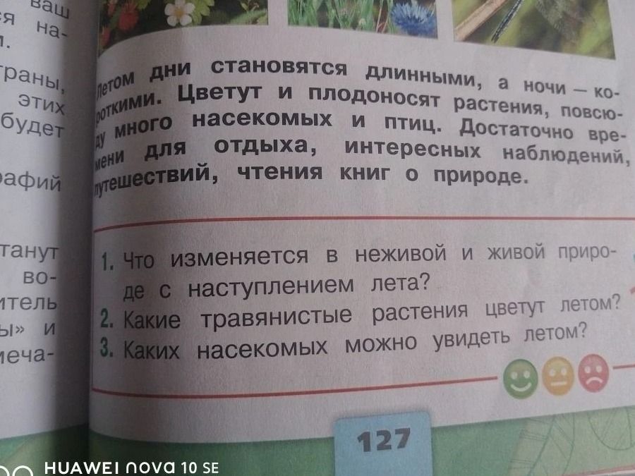 Фото задания: 3. Каких насекомых можно увидеть летом?
