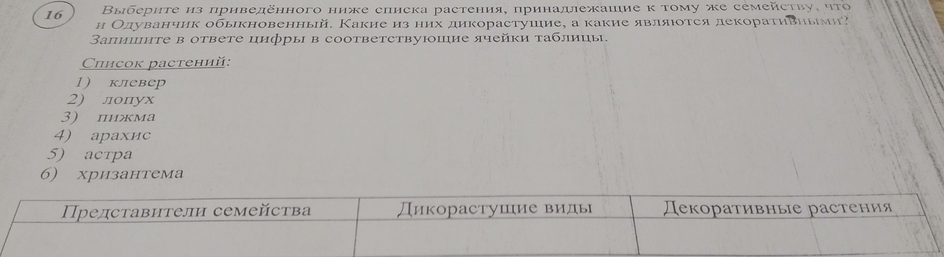 Фото задания: Выберите из приведённого ниже списка растения, принадлежащие к тому же семейству, что и Одуванчик обыкновенный. Какие из…