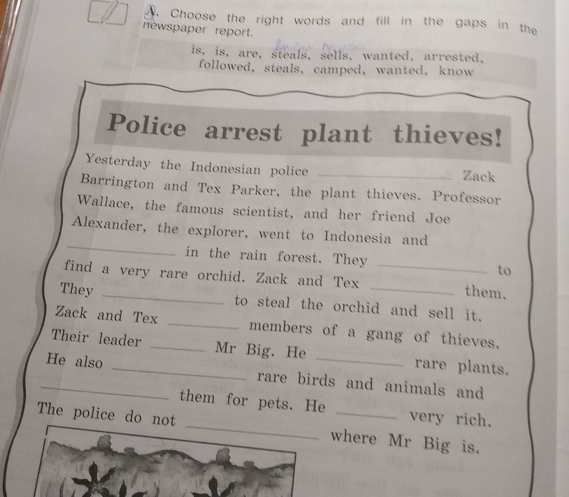 Фото задания: A. Choose the right words and fill in the gaps in the newspaper report. is, is, are, steals, sells, wanted, arrested,…