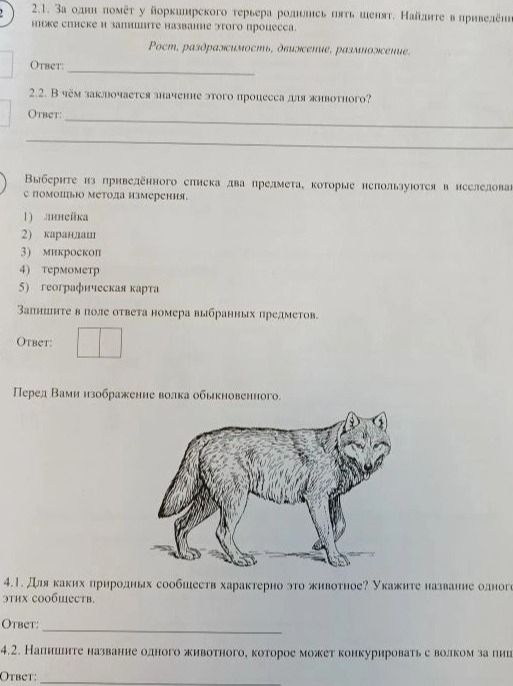 Фото задания: 2.1. За один помёт у йоркширского терьера родились пять щенят. Найдите в приведённом списке и запишите название этого…