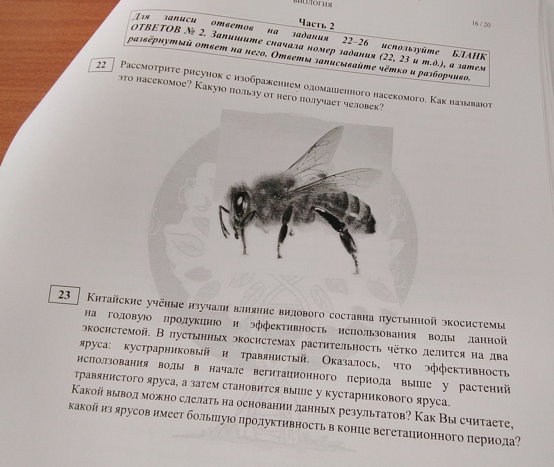 Фото задания: 23. Китайские учёные изучали влияние видового состава пустынной экосистемы на годовую продукцию и эффективность использования…