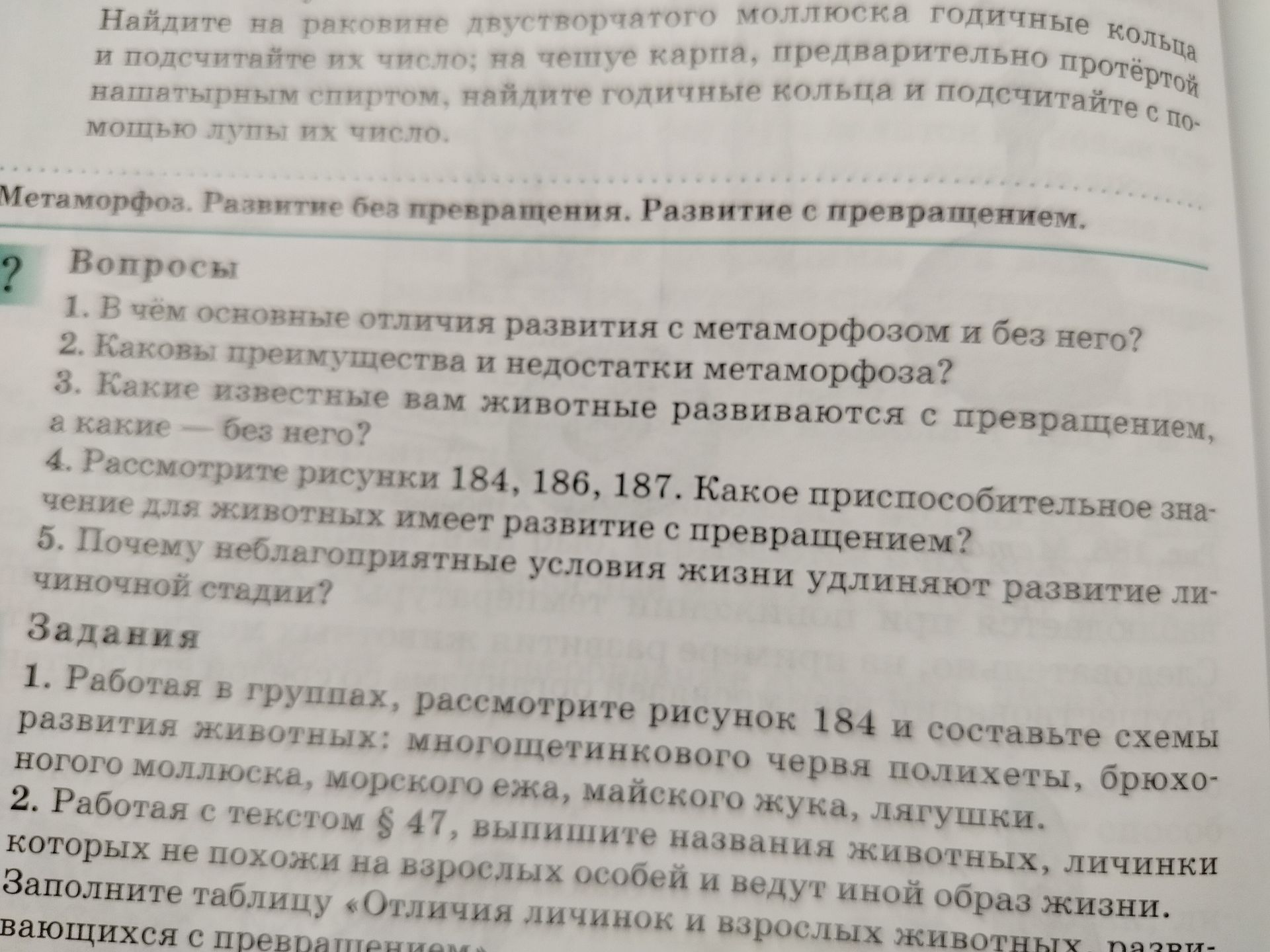Фото задания: 2. Каковы преимущества и недостатки метаморфоза?