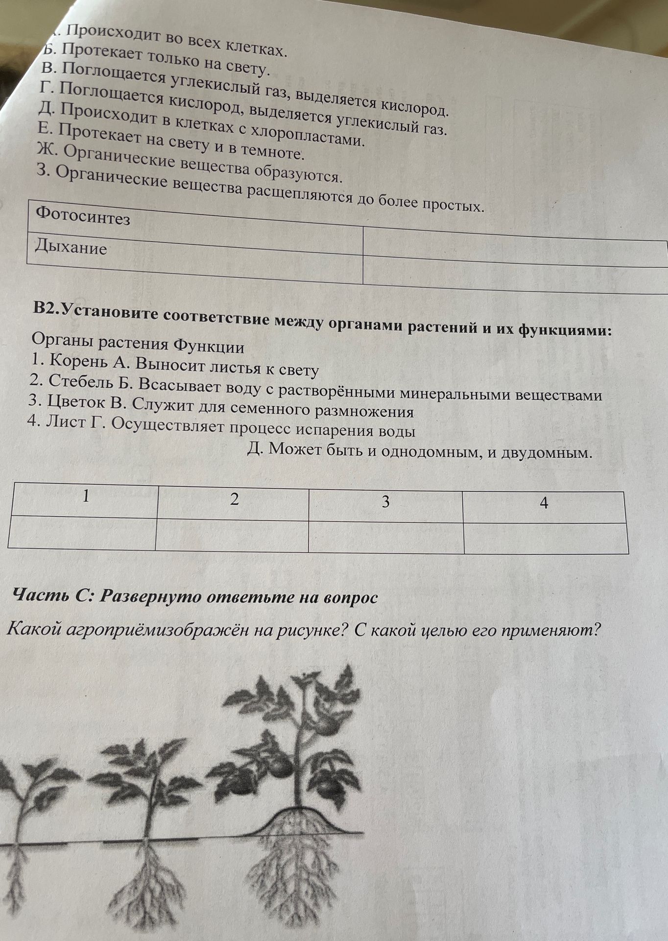 Фото задания: Часть С: Развернуто ответьте на вопрос Какой агроприём изображён на рисунке? С какой целью его применяют?