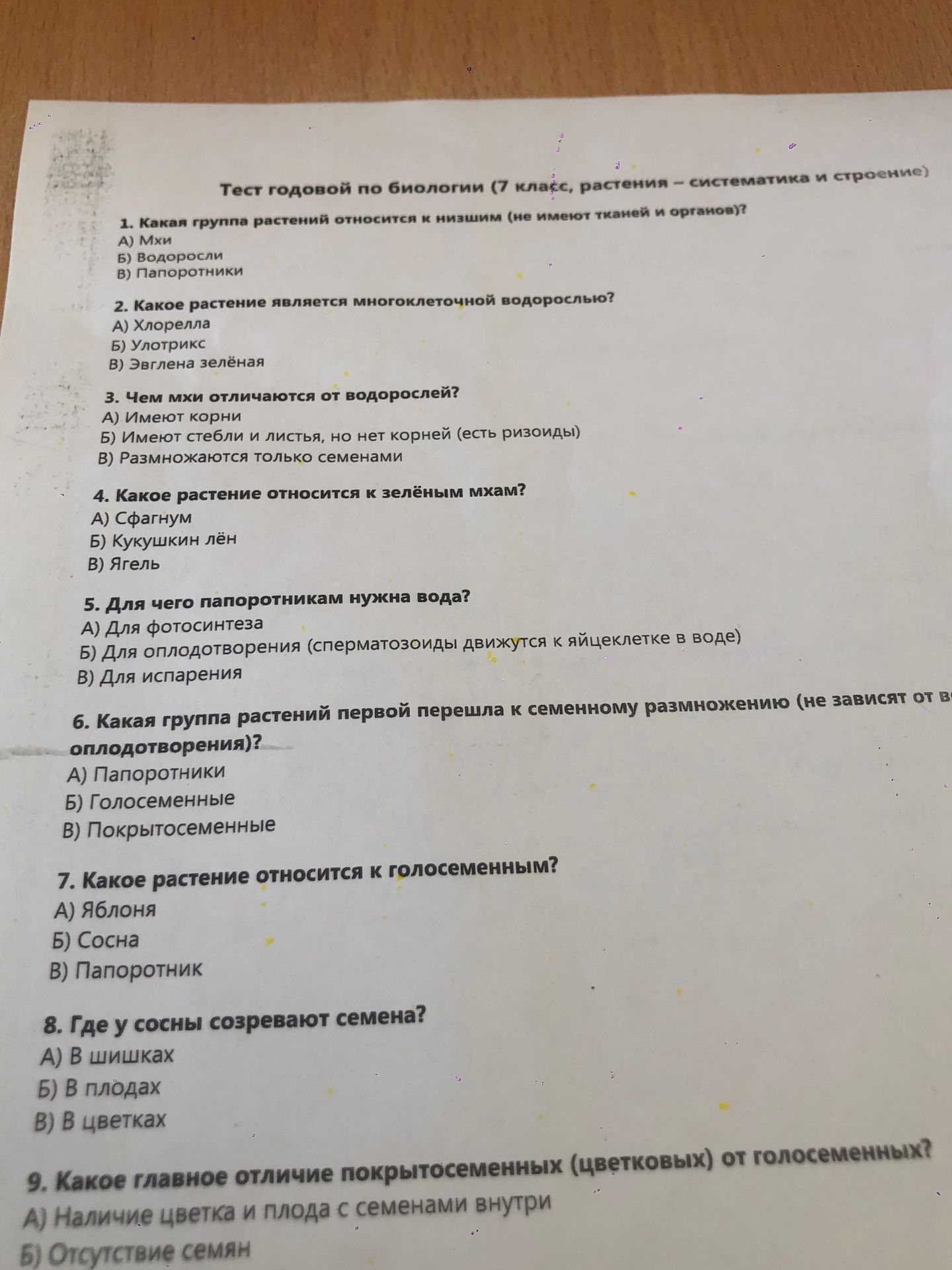 Фото задания: 8. Где у сосны созревают семена?