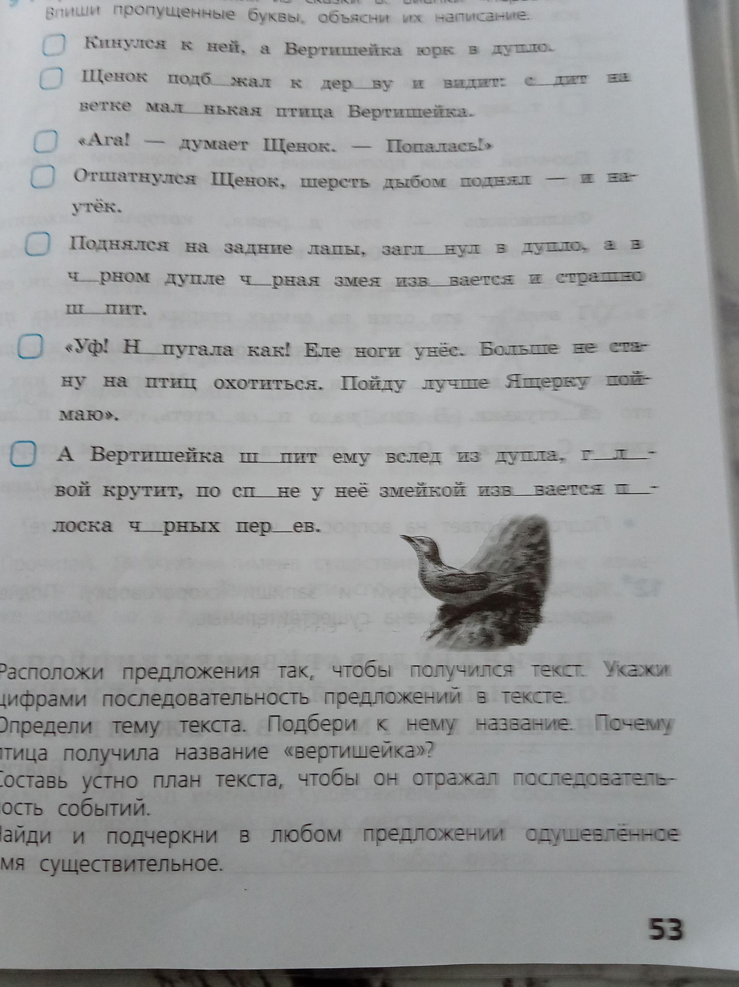 Фото задания: Впиши пропущенные буквы, объясни их написание.