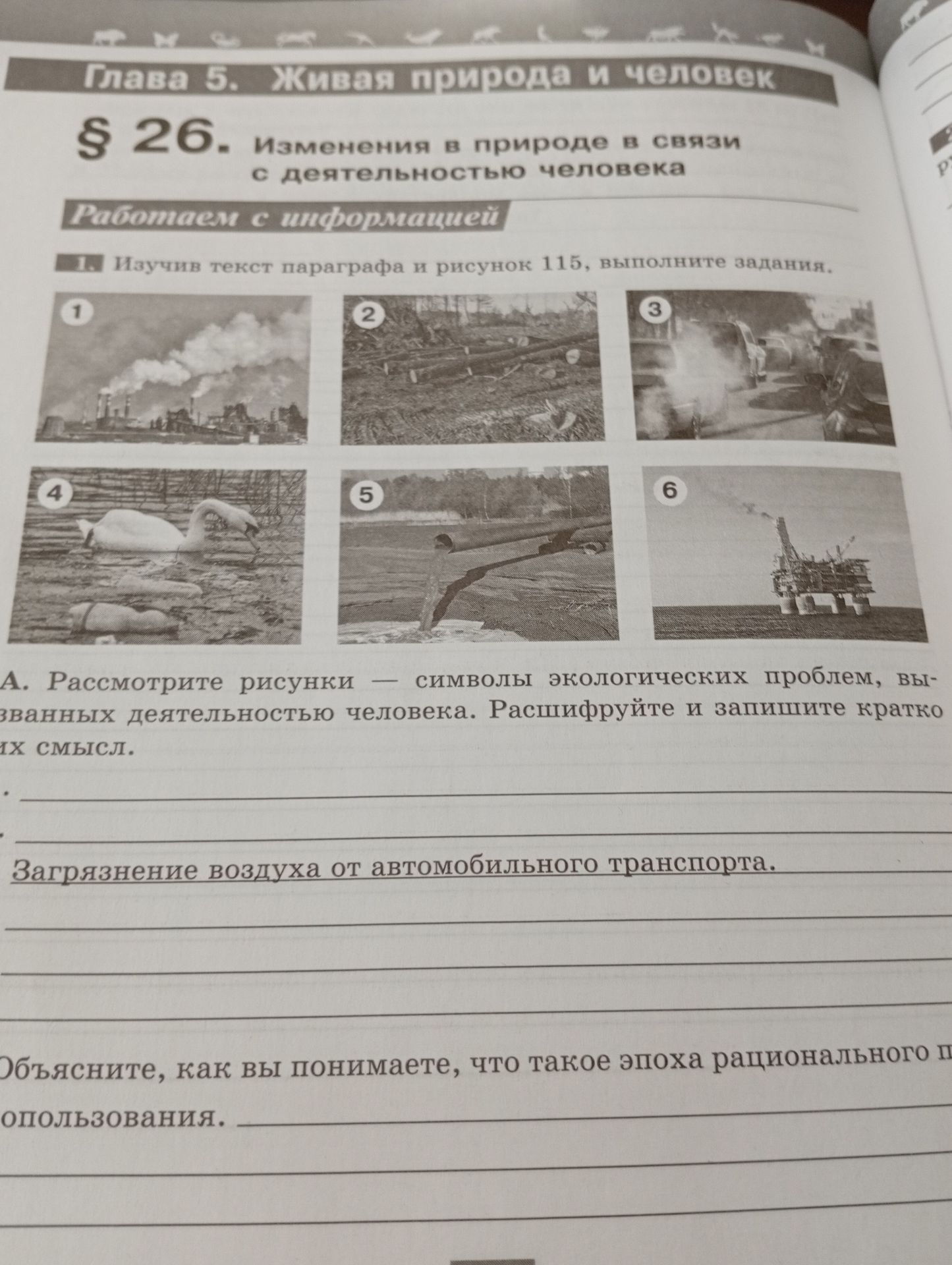 Фото задания: Загрязнение воздуха от автомобильного транспорта.