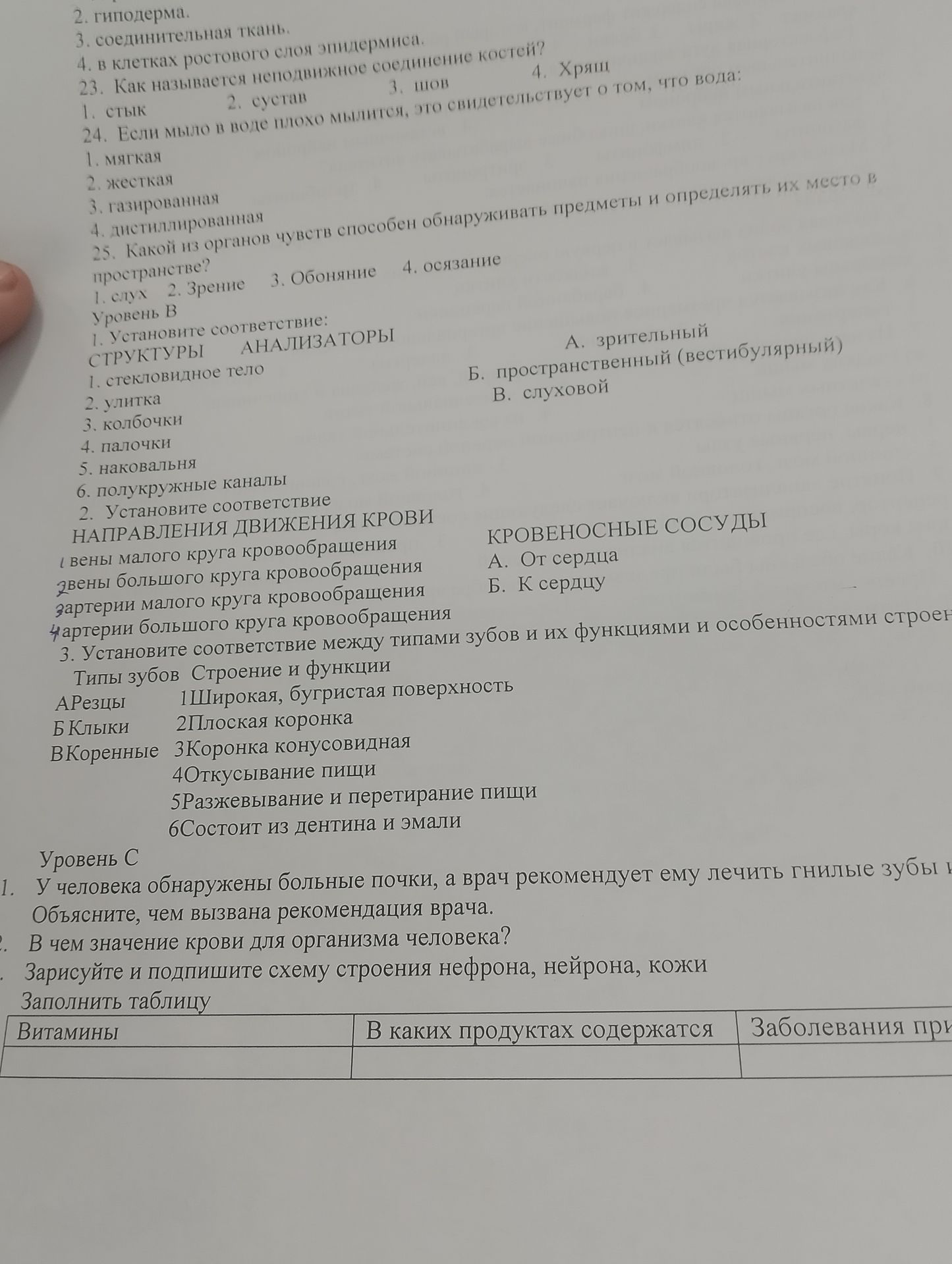Фото задания: 2. гиподерма. 3. соединительная ткань. 4. в клетках ростового слоя эпидермиса. 23. Как называется неподвижное соединение…