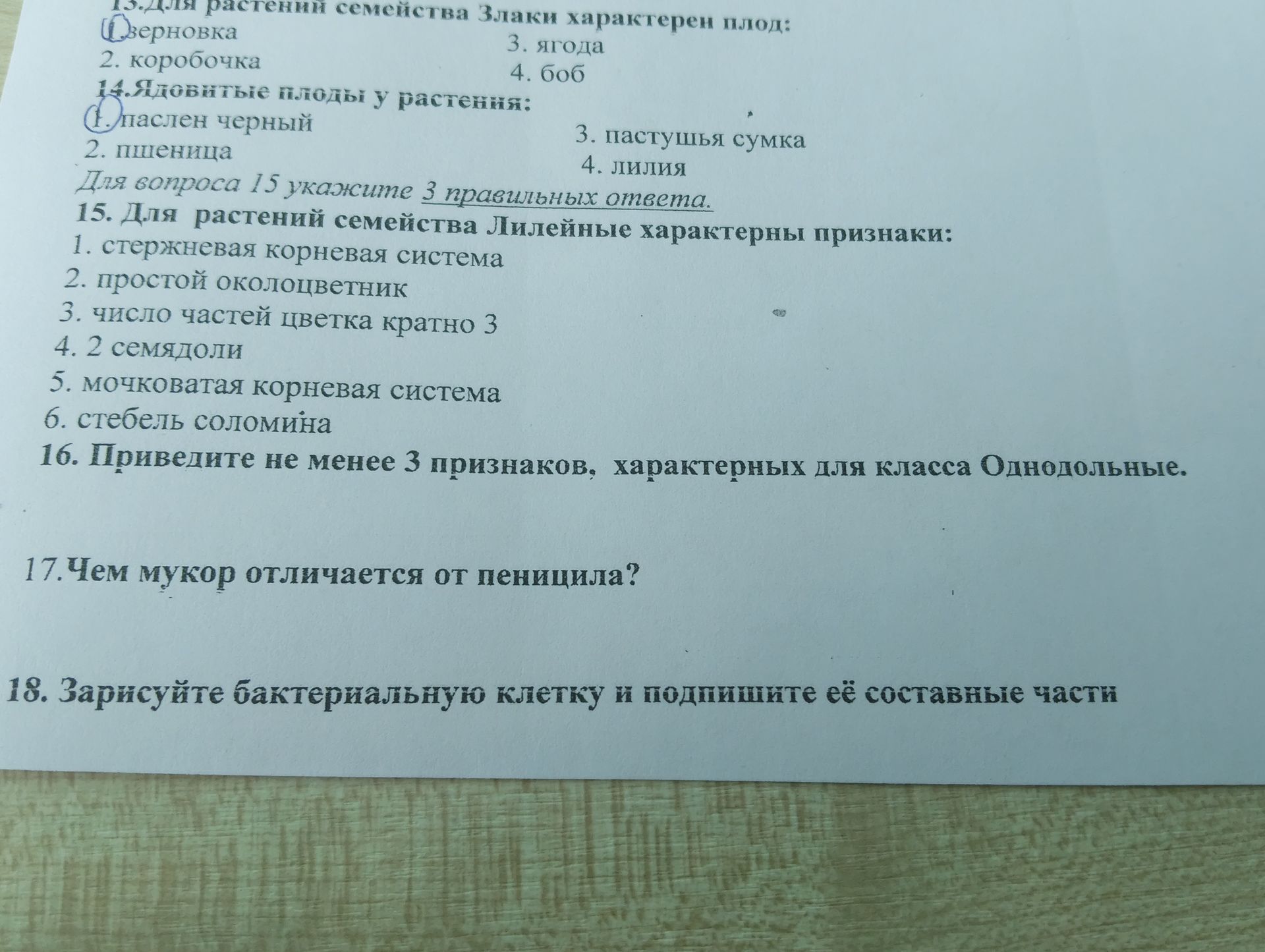 Фото задания: 14. Ядовитые плоды у растения: