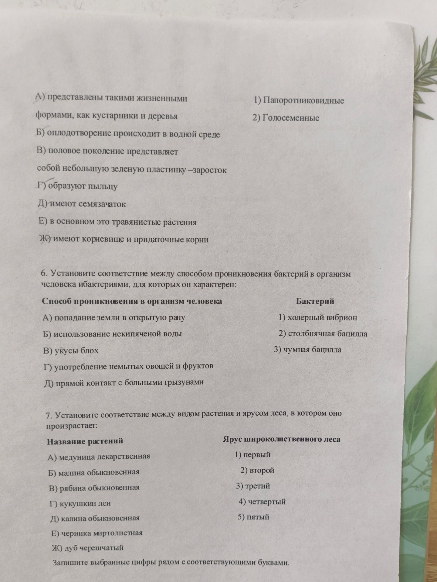 Фото задания: 6. Установите соответствие между способом проникновения бактерий в организм человека и бактериями, для которых он характерен:…