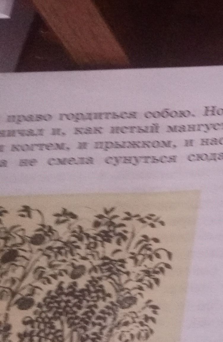 Фото задания: право гордиться собою. Но ничал и, как истый мангуст и когтем, и прыжком, и нас а не смела сунуться сюда