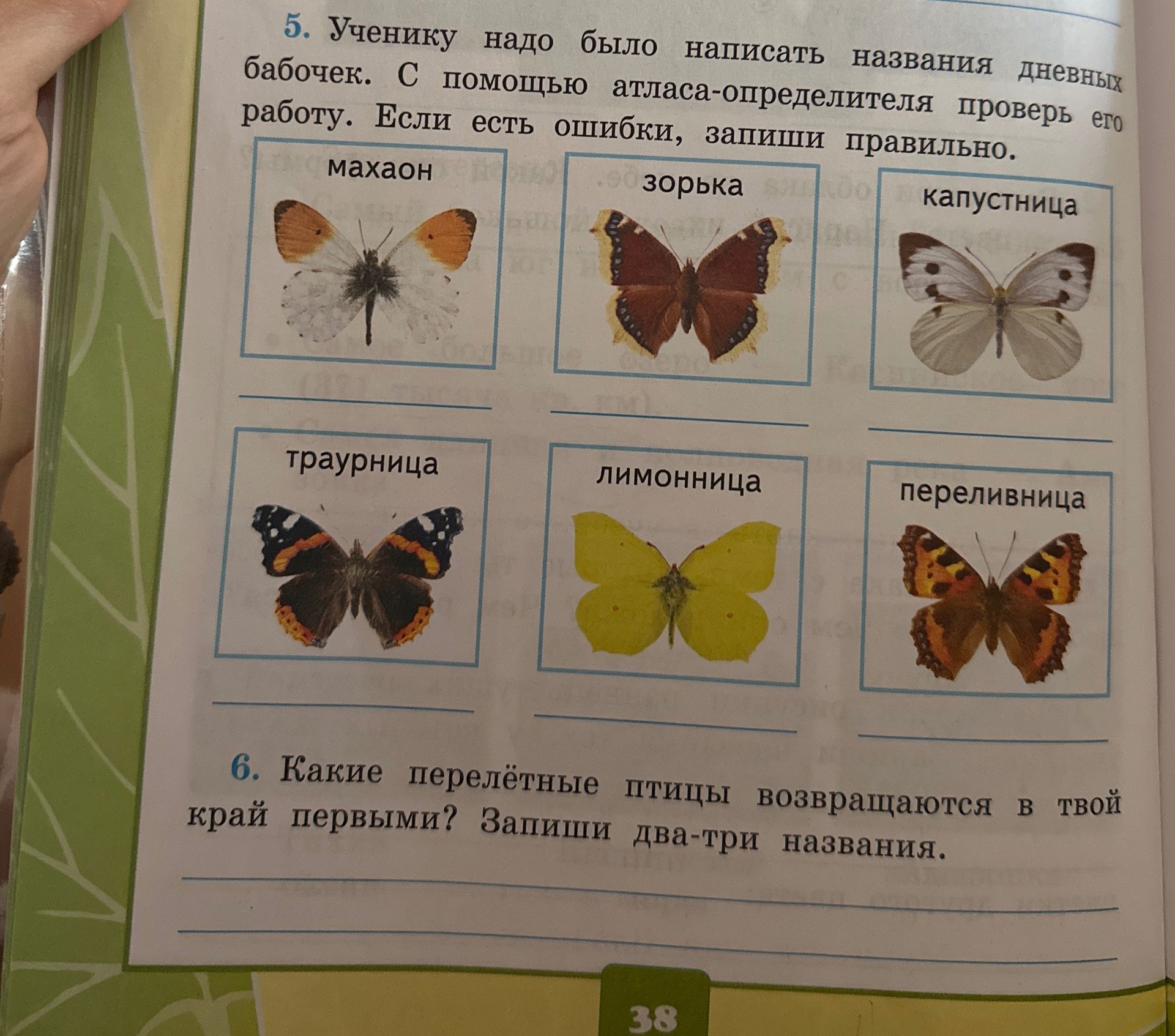 Фото задания: 6. Какие перелётные птицы возвращаются в твой край первыми? Запиши два-три названия.