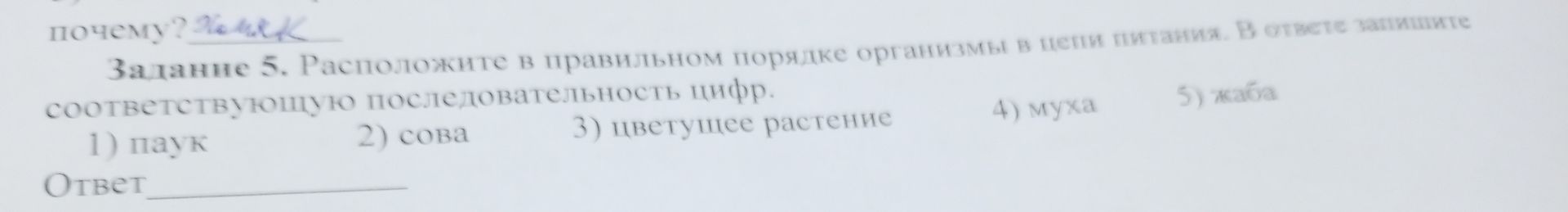 Фото задания: Задание 5. Расположите в правильном порядке организмы в цепи питания. В ответе запишите соответствующую последовательность…