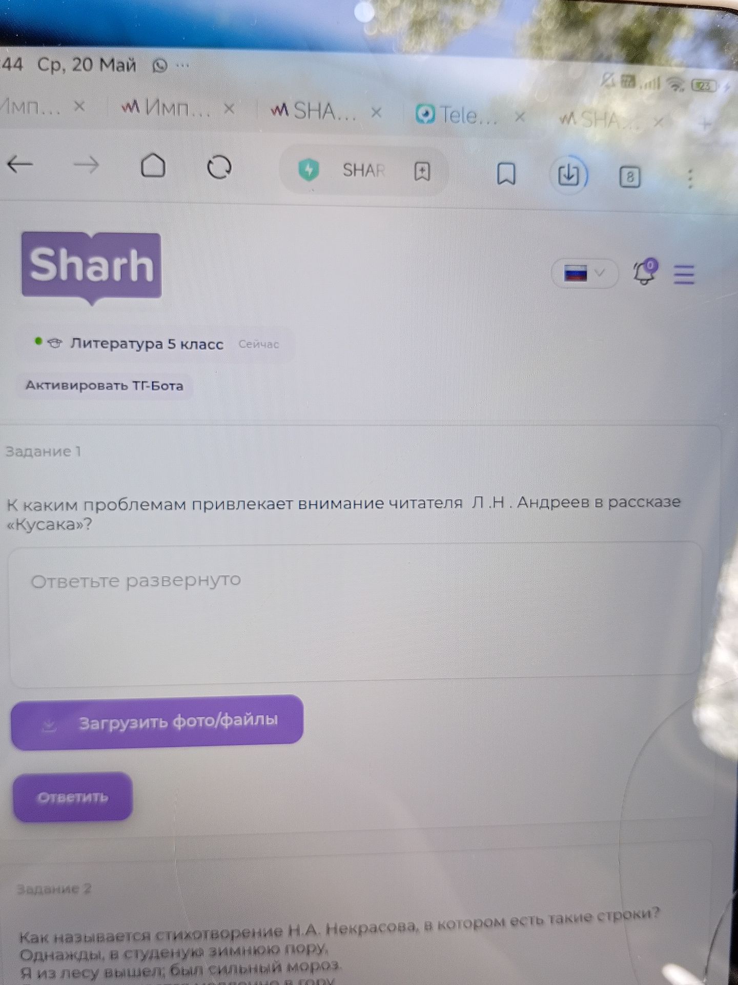 Фото задания: К каким проблемам привлекает внимание читателя Л.Н. Андреев в рассказе «Кусака»?