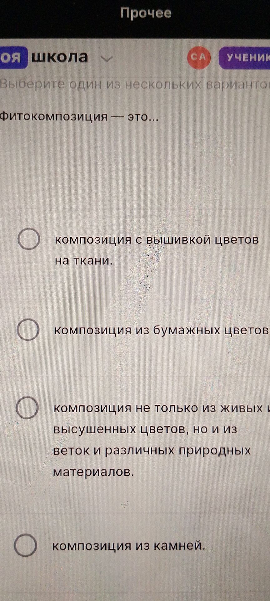 Фото задания: Фитокомпозиция — это...