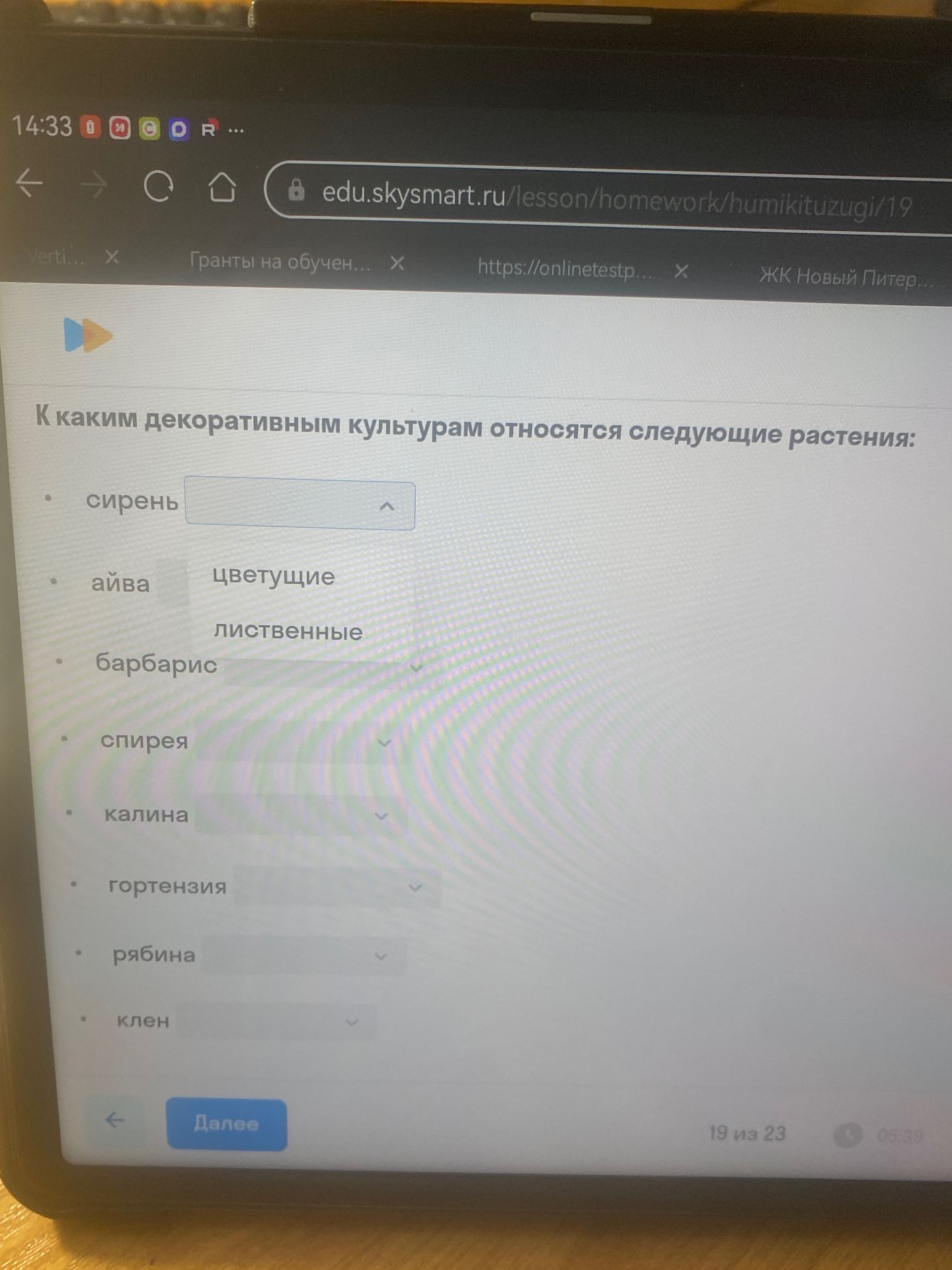Фото задания: К каким декоративным культурам относятся следующие растения: