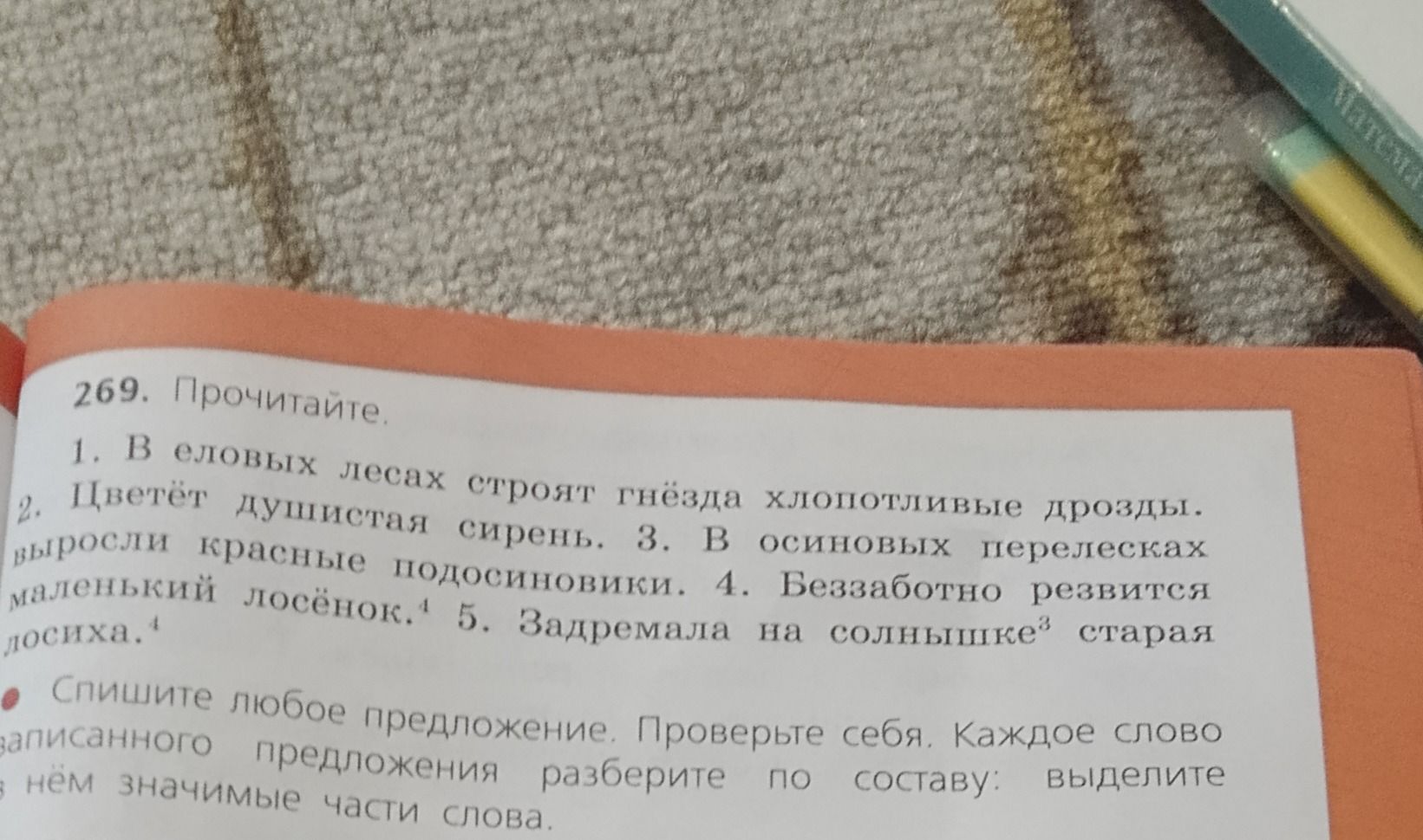 Фото задания: 269. Прочитайте. 1. В еловых лесах строят гнёзда хлопотливые дрозды. 2. Цветёт душистая сирень. 3. В осиновых перелесках…