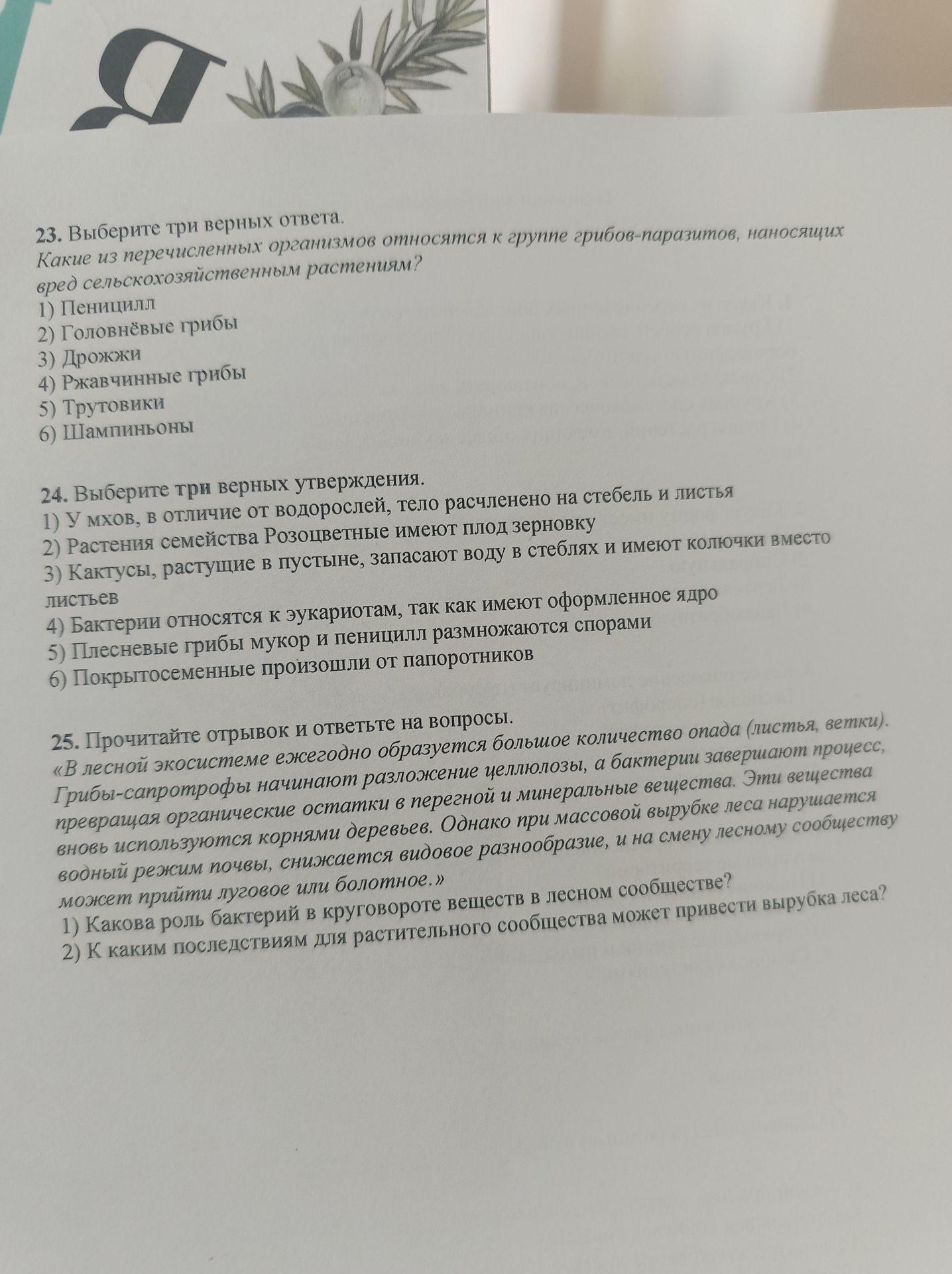 Фото задания