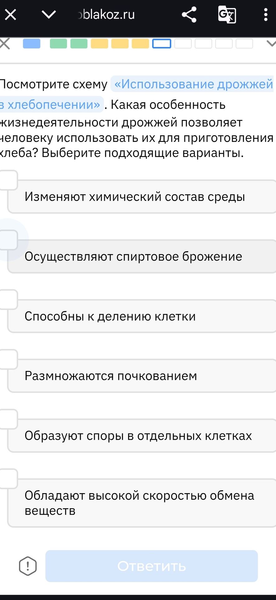 Фото задания: Посмотрите схему «Использование дрожжей в хлебопечении». Какая особенность жизнедеятельности дрожжей позволяет человеку…