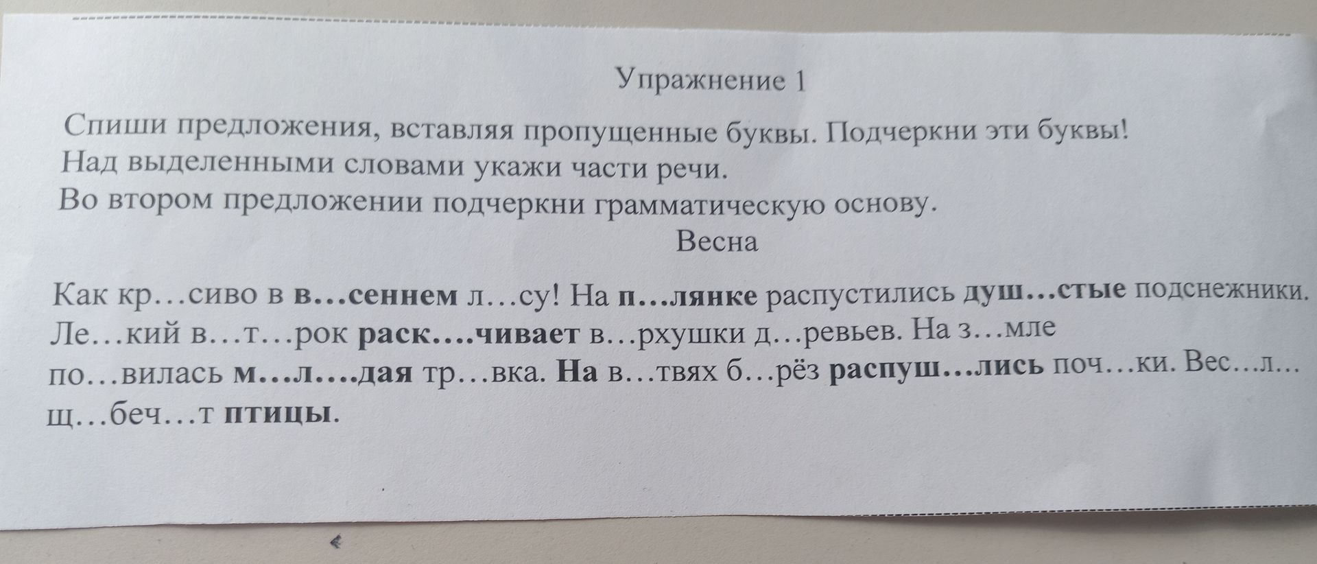 Фото задания
