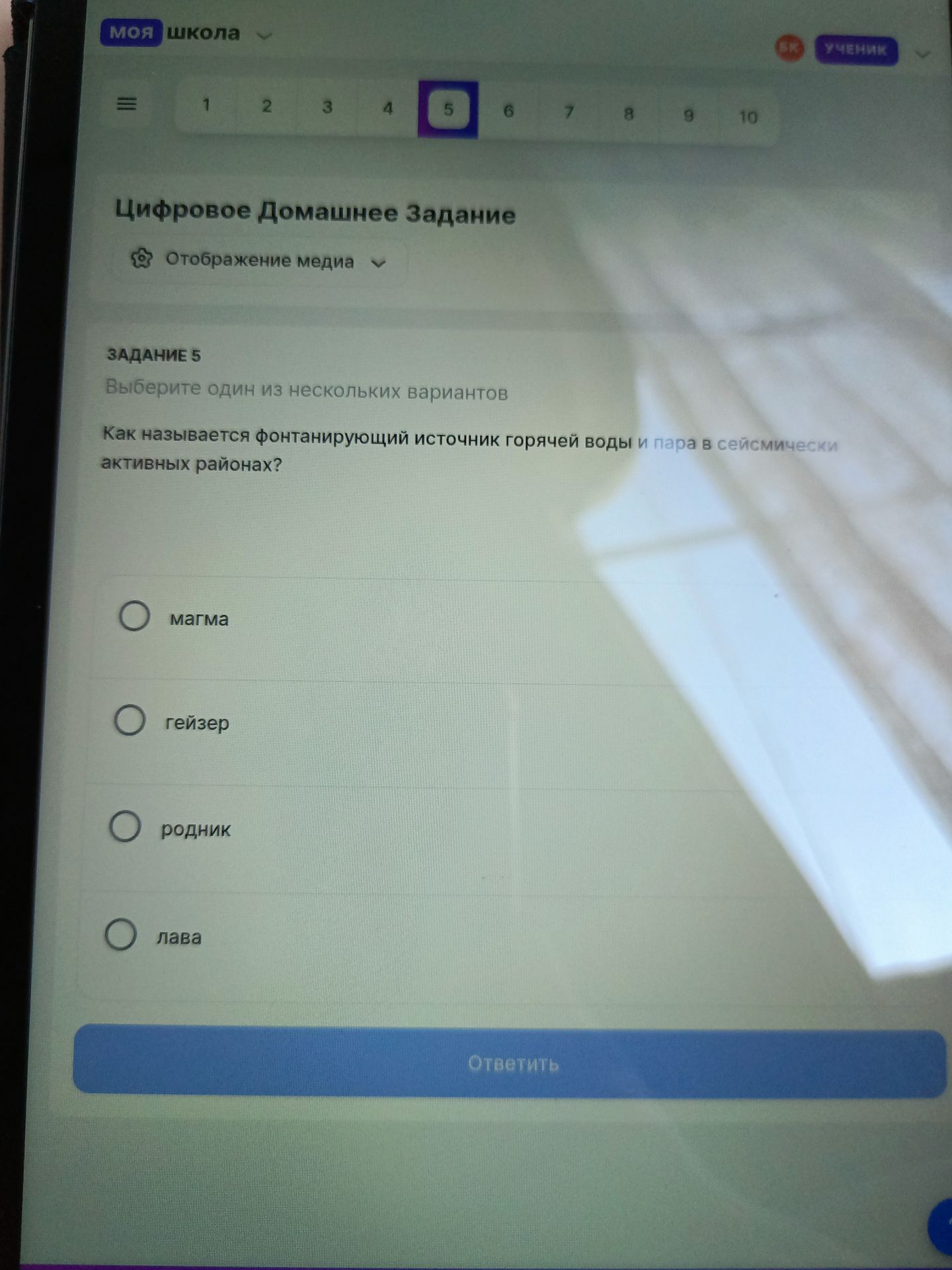 Фото задания: Как называется фонтанирующий источник горячей воды и пара в сейсмически активных районах?