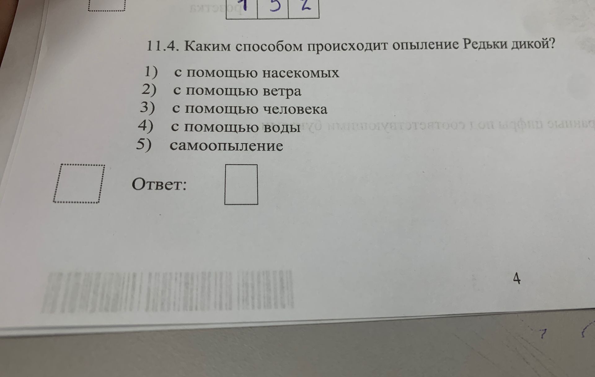 Фото задания: 11.4. Каким способом происходит опыление Редьки дикой?