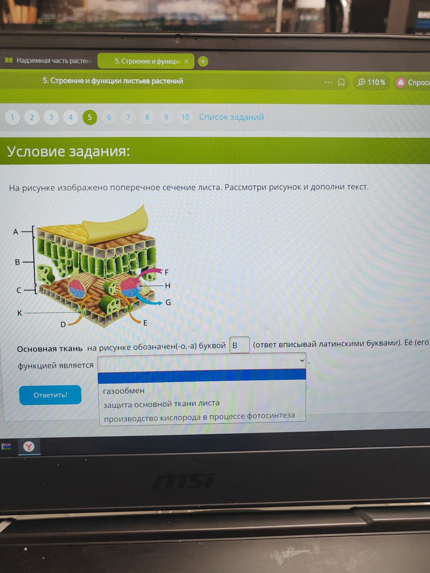 Фото задания: Основная ткань на рисунке обозначена буквой В. Её функцией является