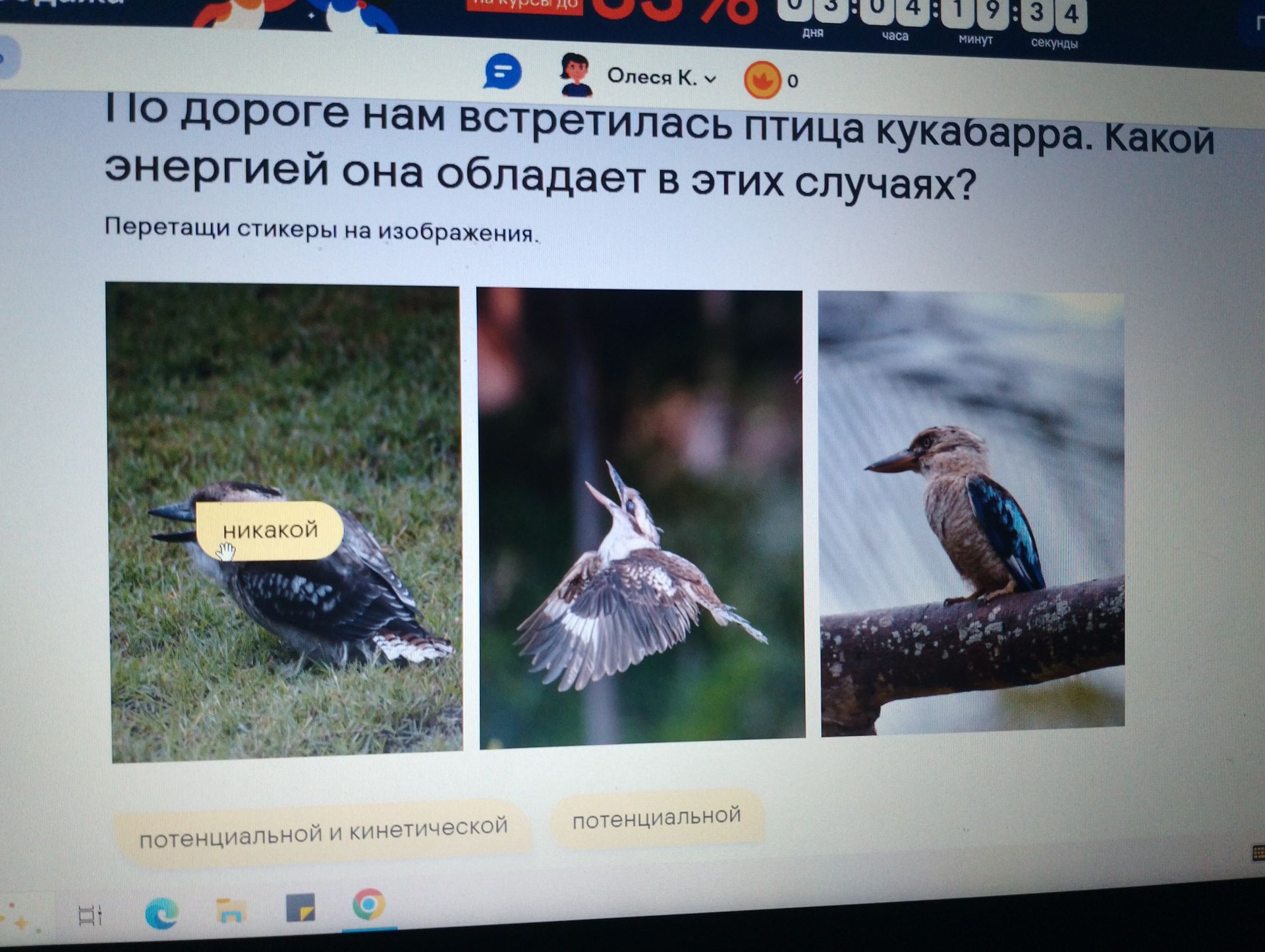Фото задания: По дороге нам встретилась птица кукабарра. Какой энергией она обладает в этих случаях? Перетащи стикеры на изображения.